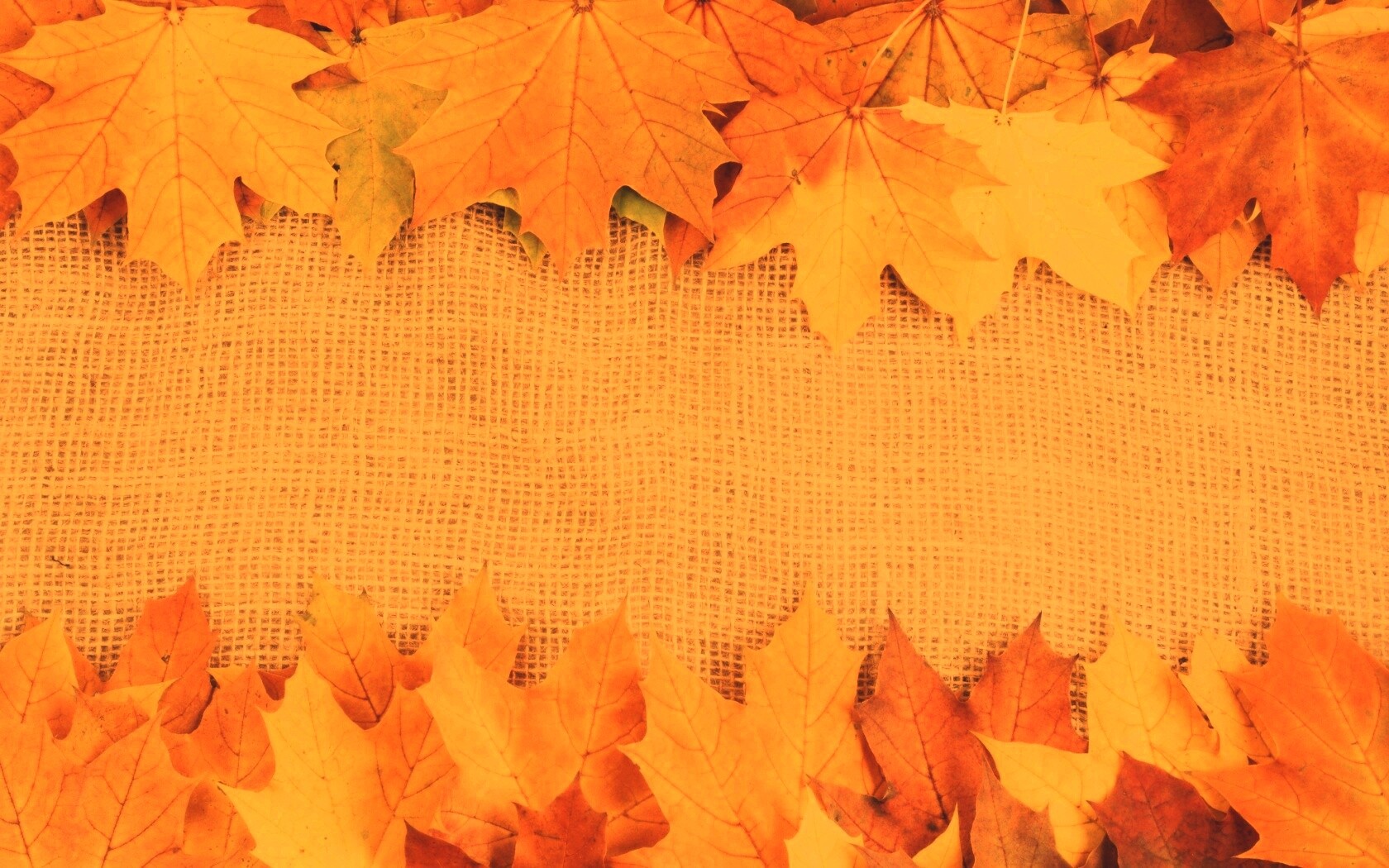 Желтые кленовые листья на холсте обои
