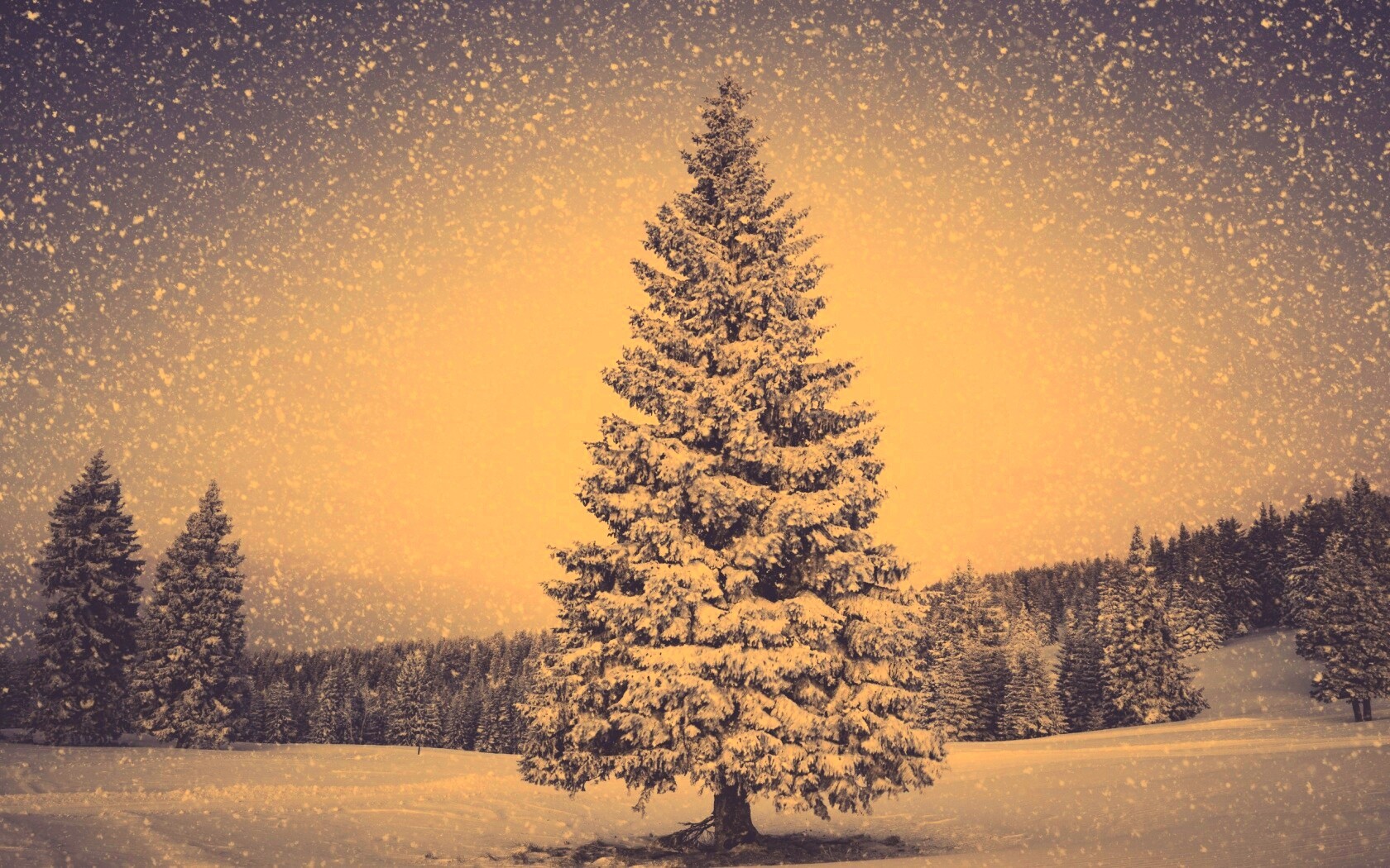 Ель в снегопад обои