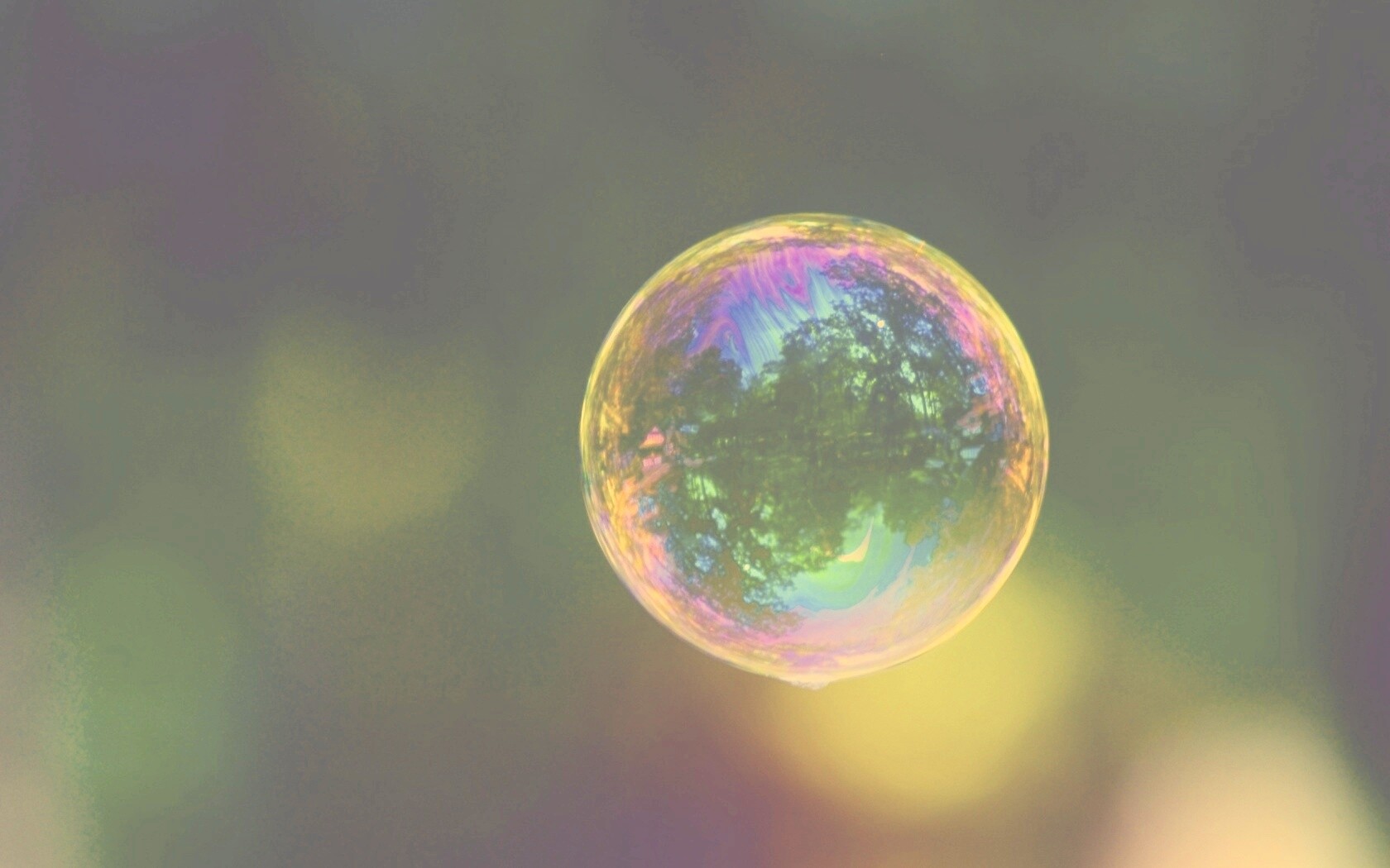 Мыльный пузырь обои
