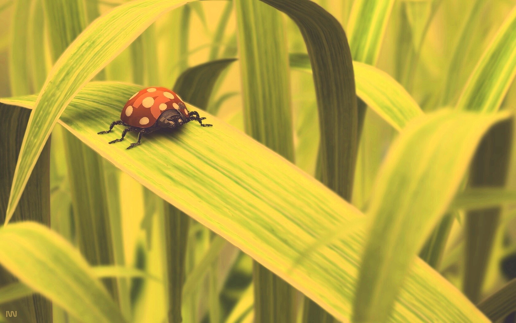 Милая божья коровка робот обои