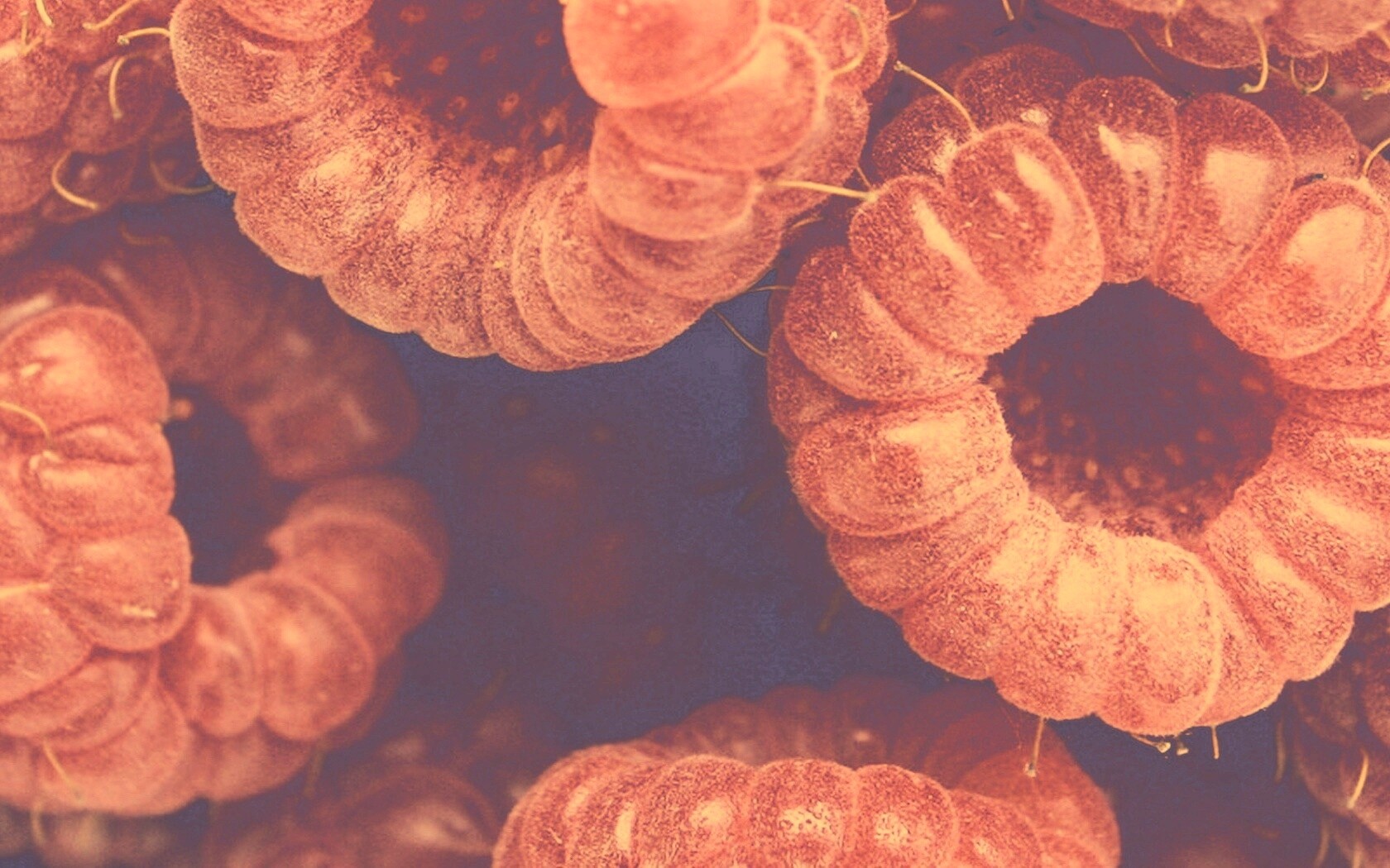 Малина обои