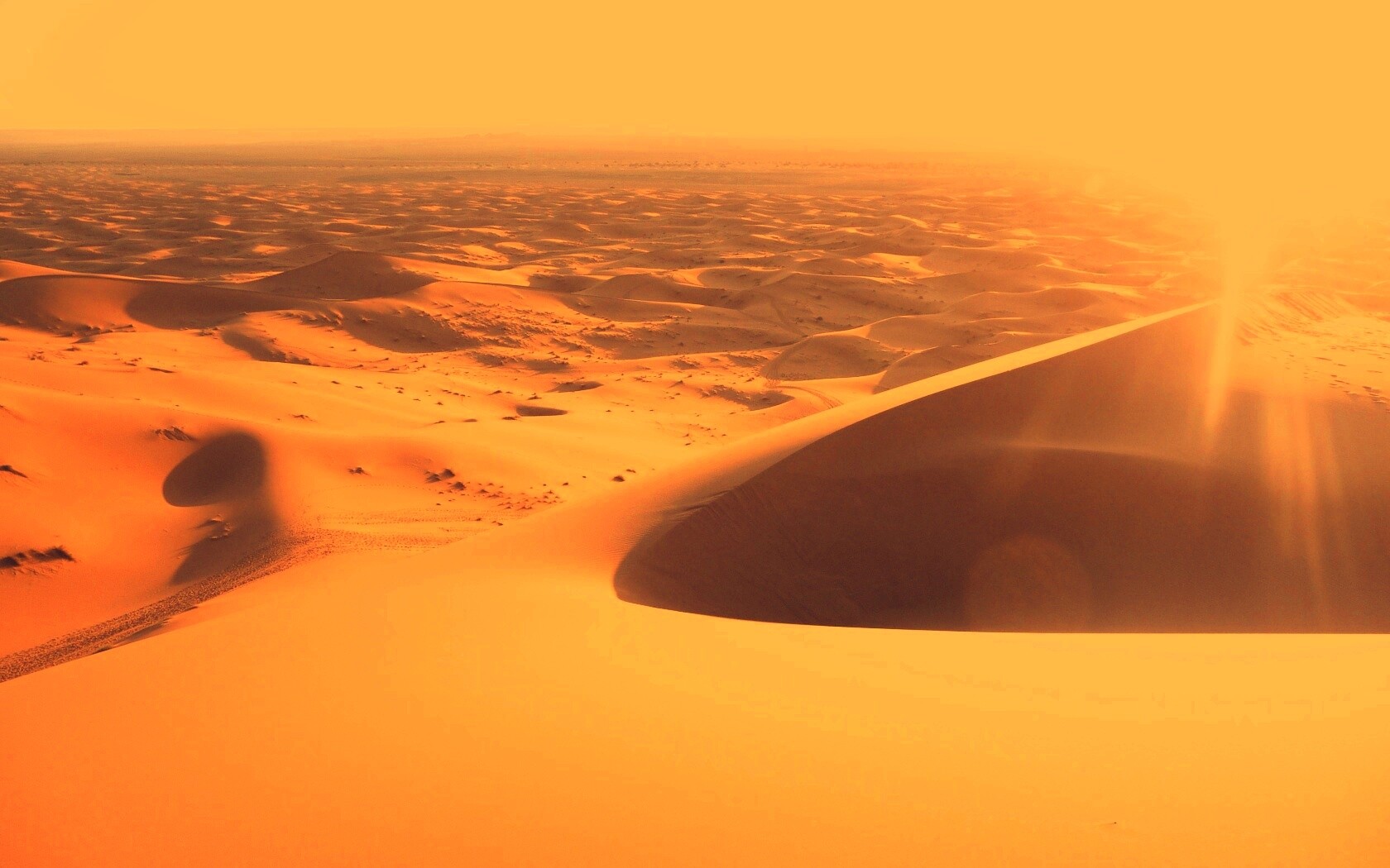 Солнечная пустыня обои