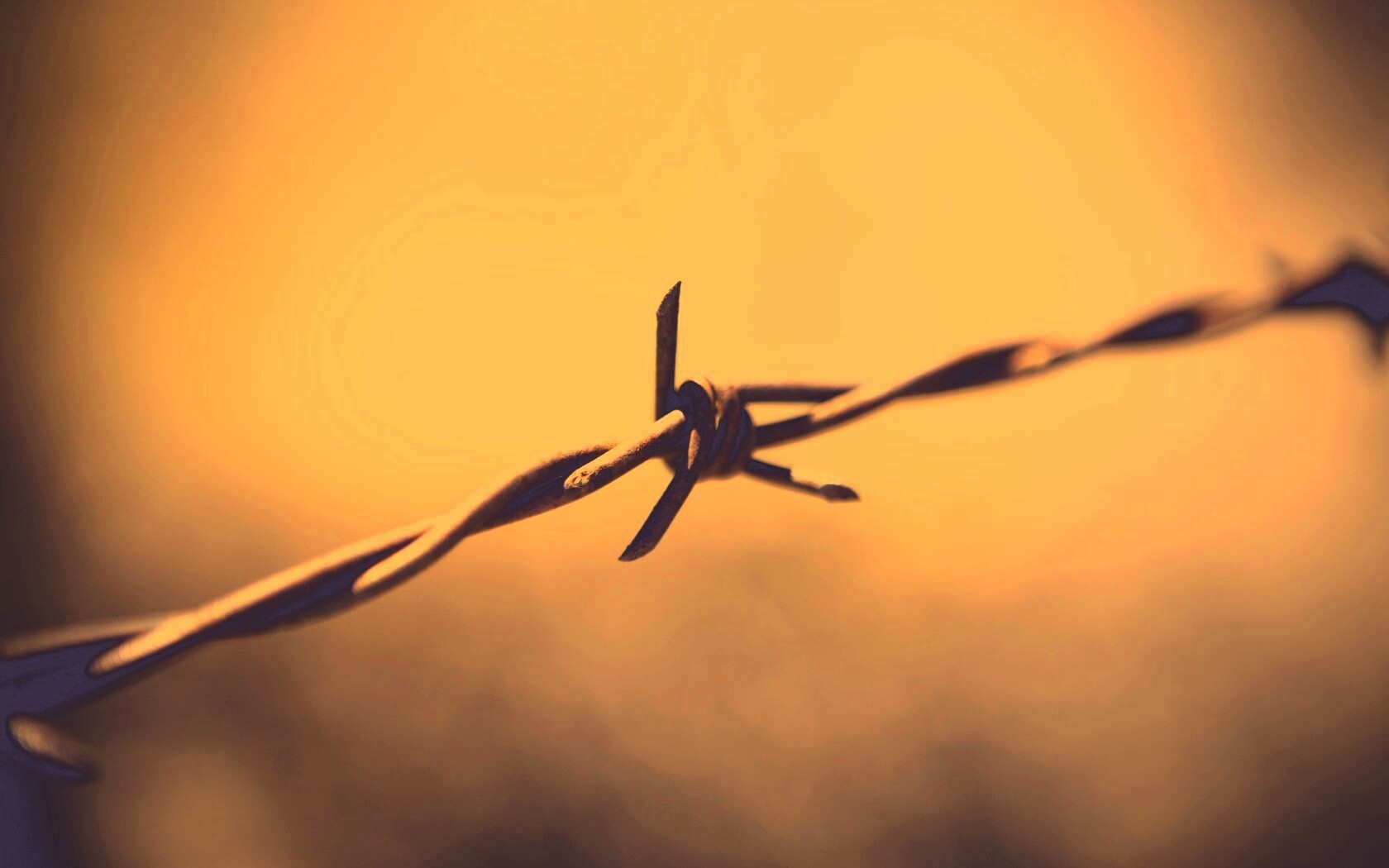 Фото колючей проволоки обои