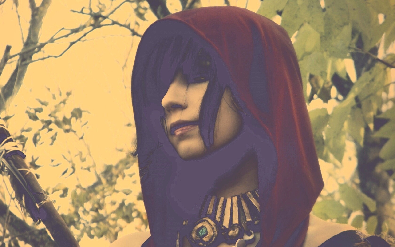 Косплей Морриган обои