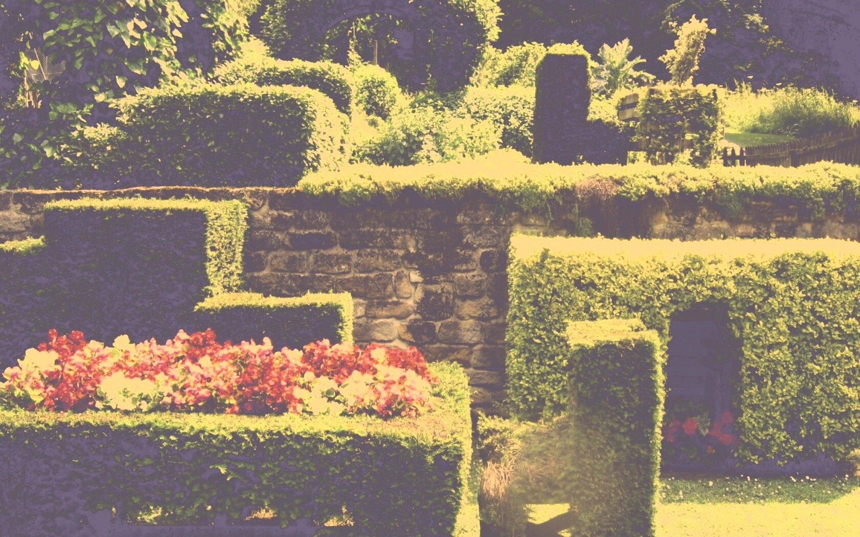 Декоративный сад обои