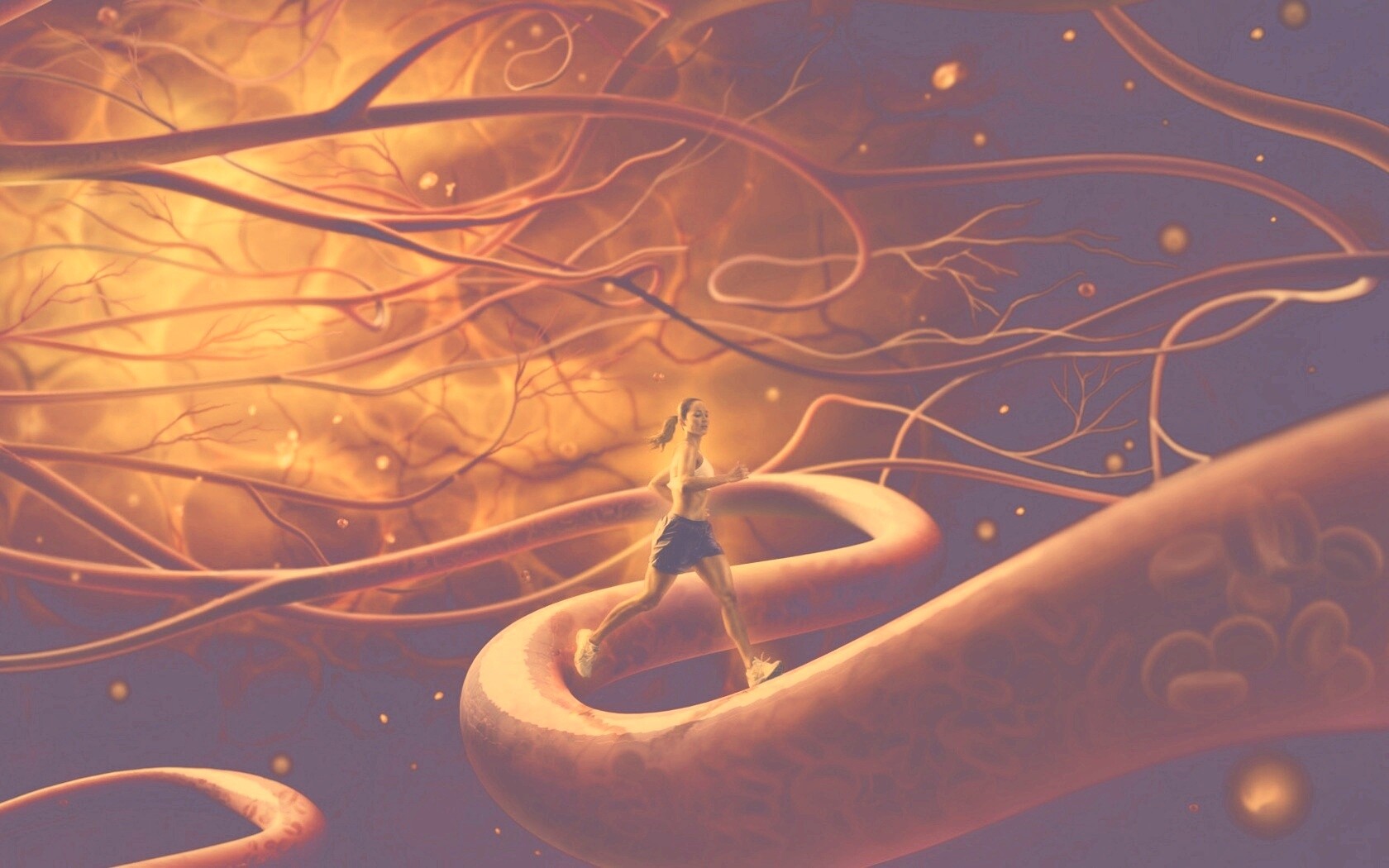 Бег крови обои