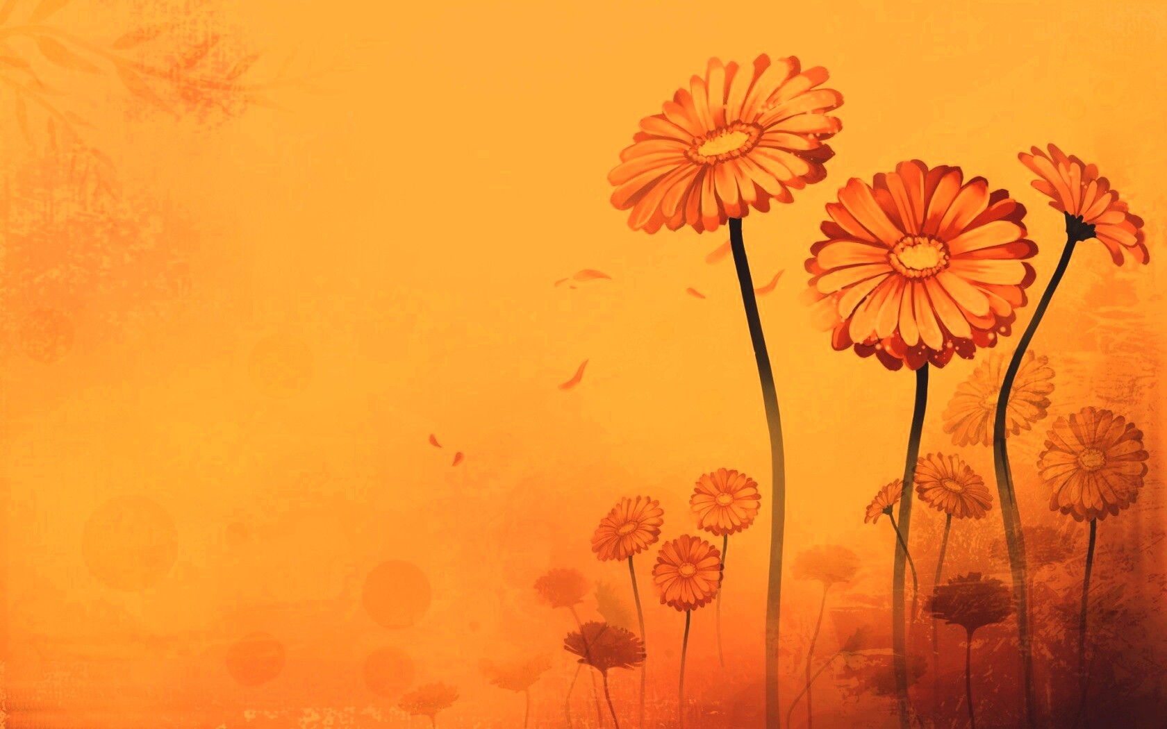 Векторные ромашки обои