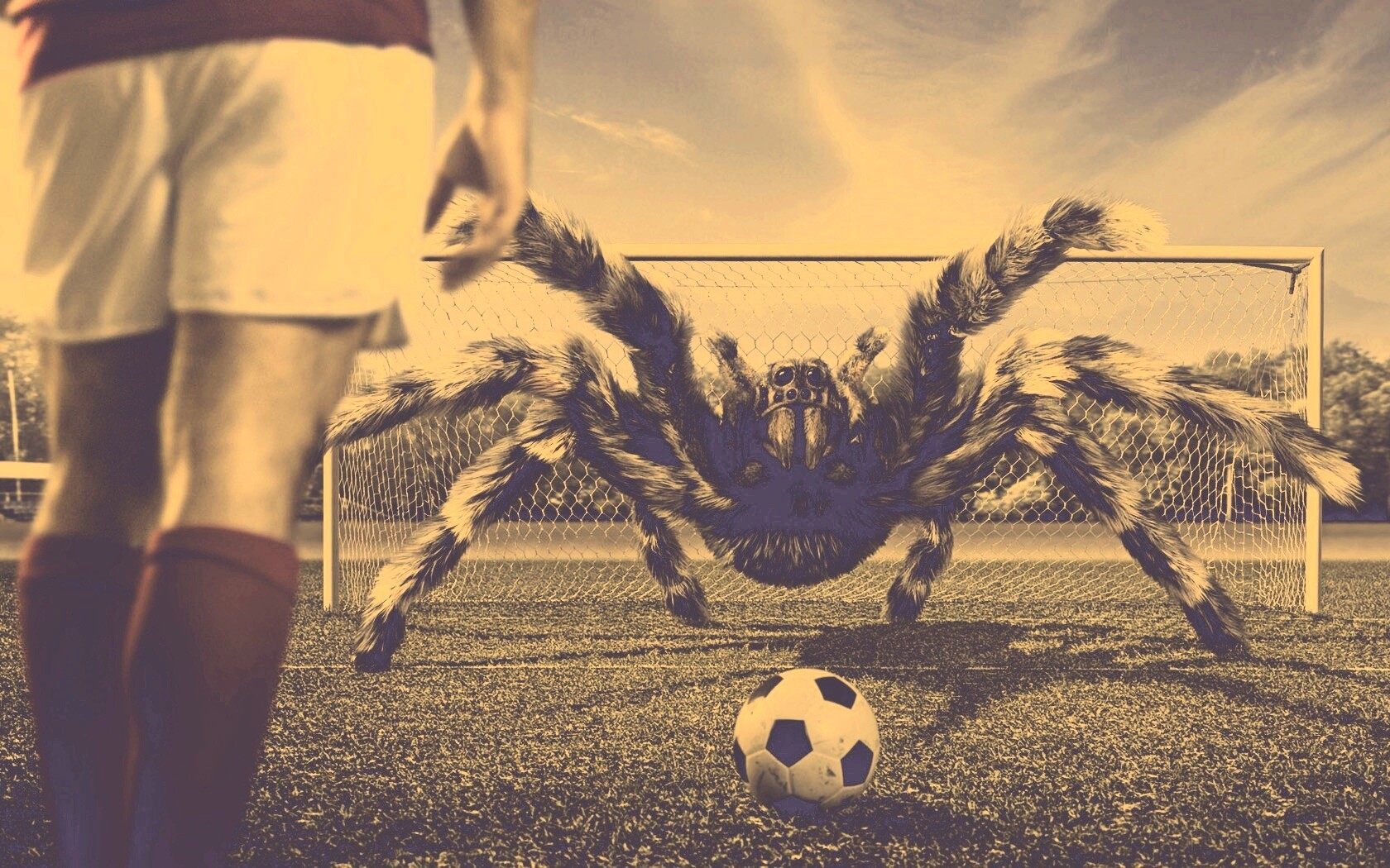 Вратарь обои