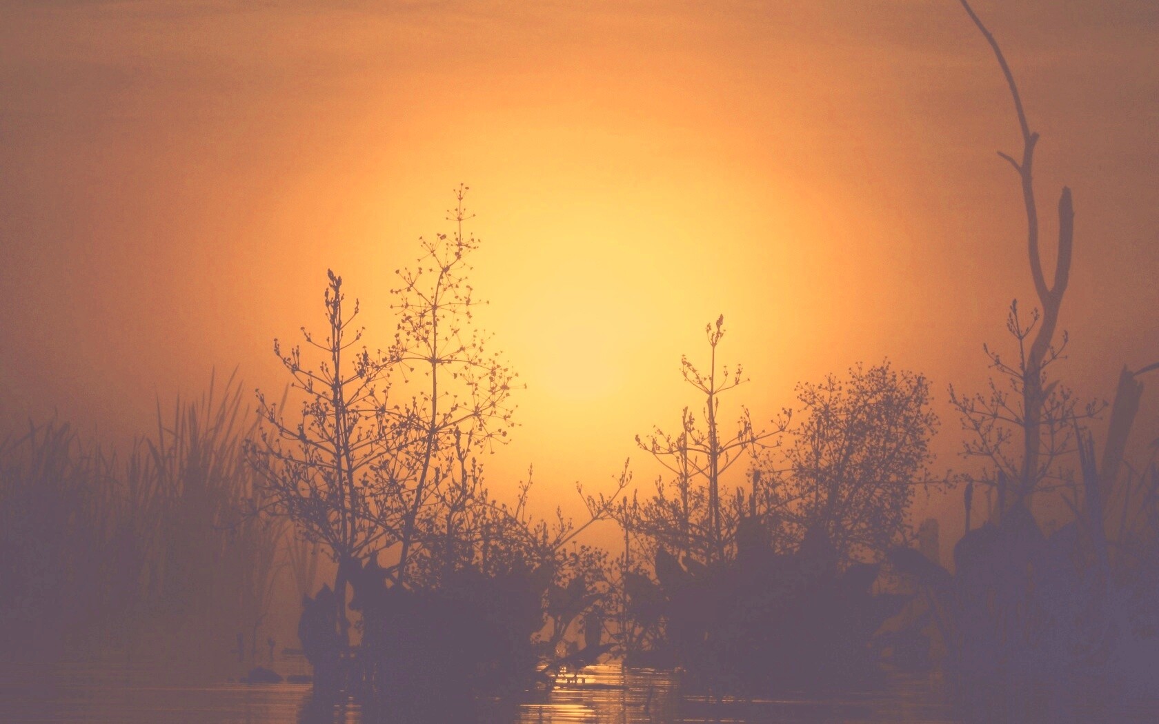 Доисторическое утро обои