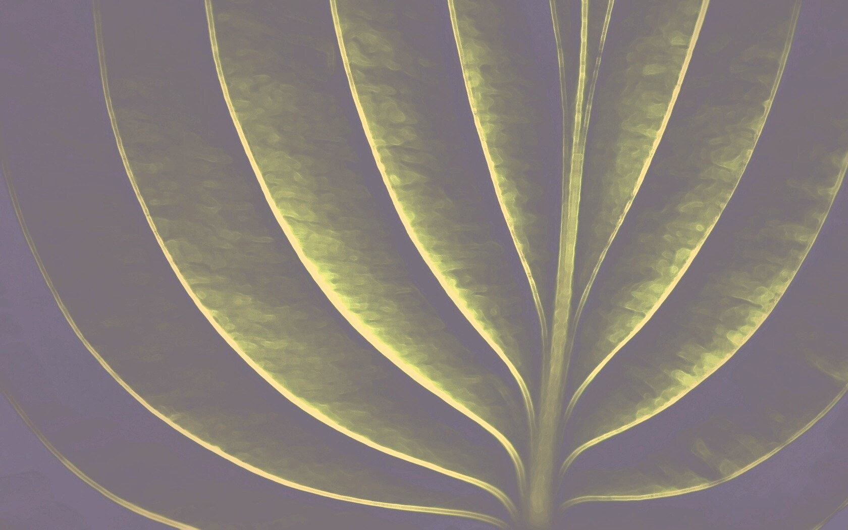 Неоновый лист обои