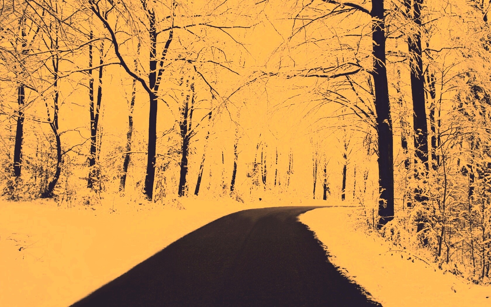 Дорога в зимнем лесу обои