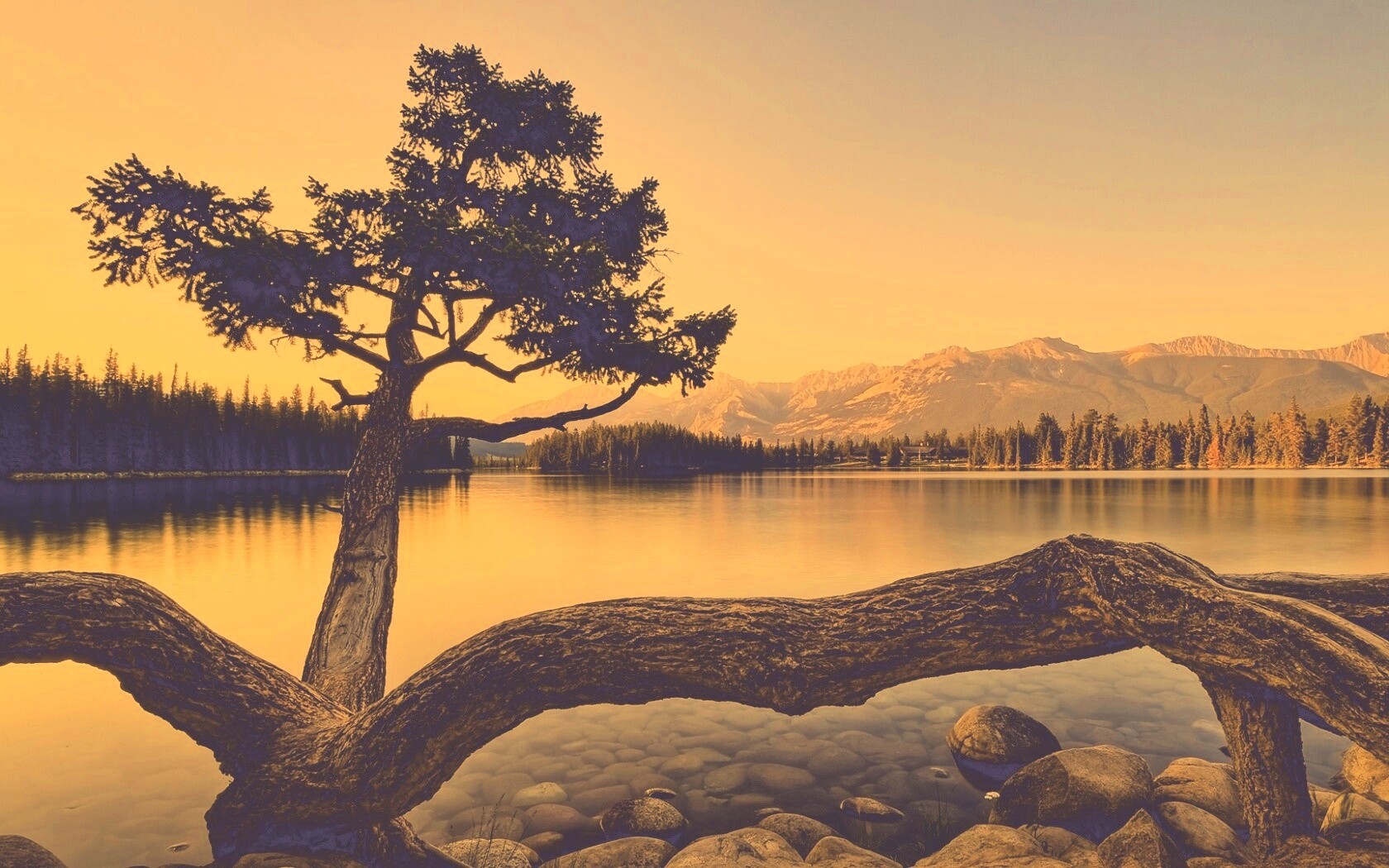 Дерево у горного озера обои