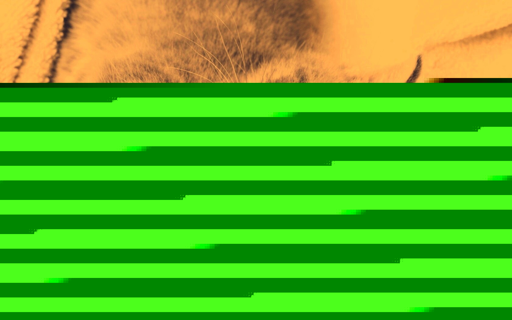 Маленький пушистик обои