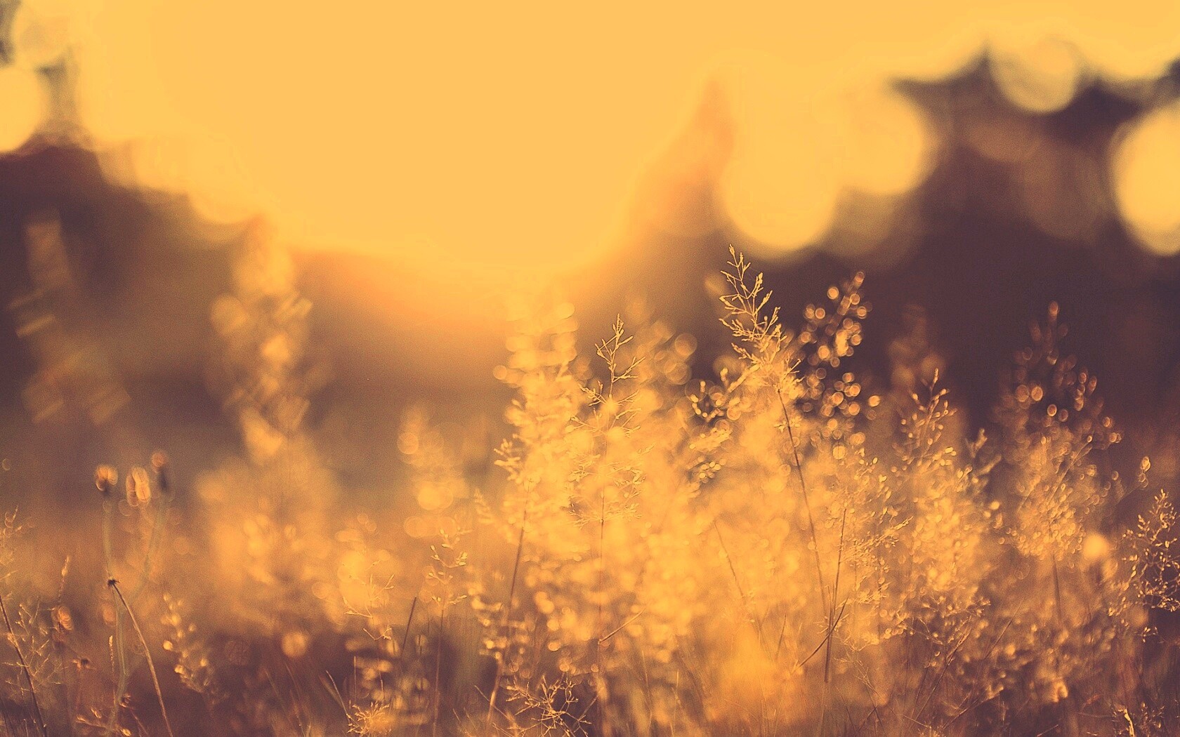 Посмотри на этот мир обои