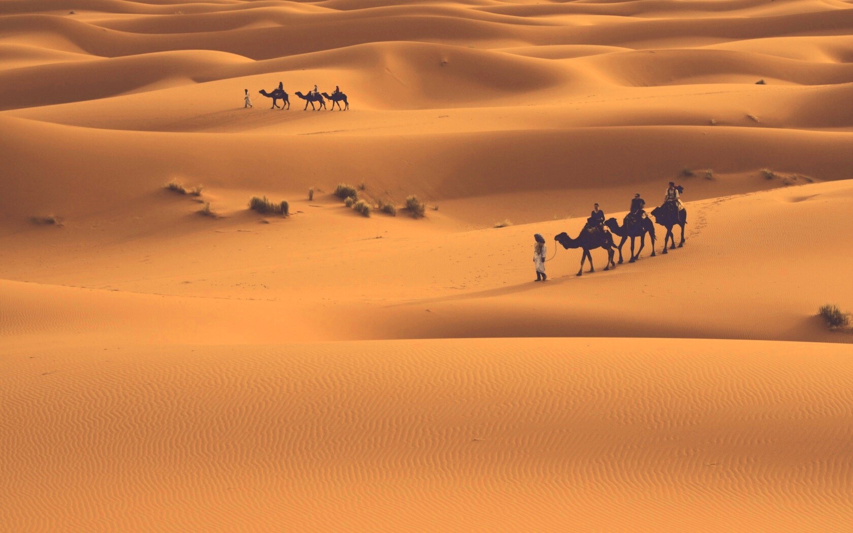 Караваны пустыни обои
