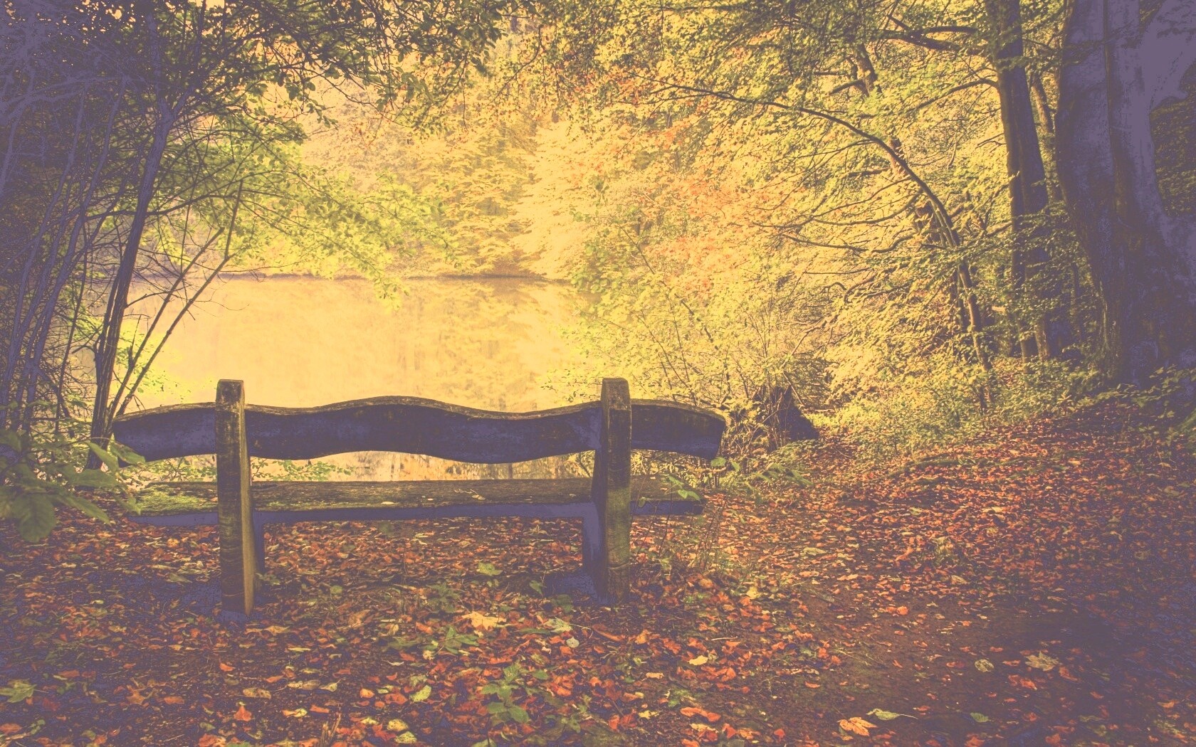 Скамейка в лесу обои
