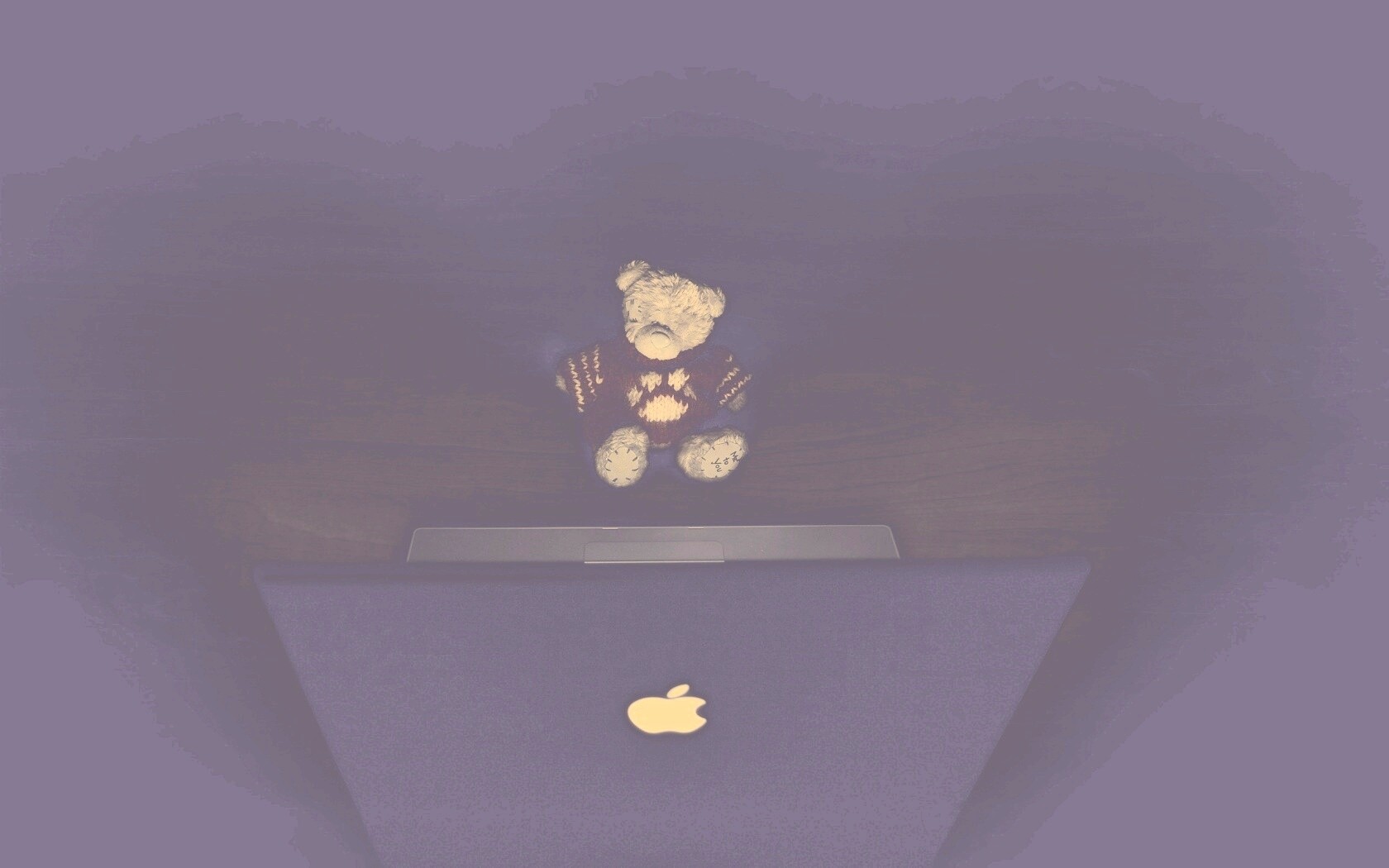 Плюшевый мишка за ноутбуком обои