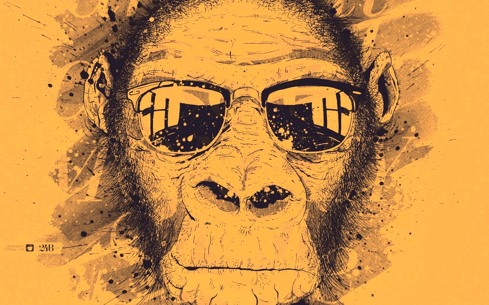 Макака в очках обои