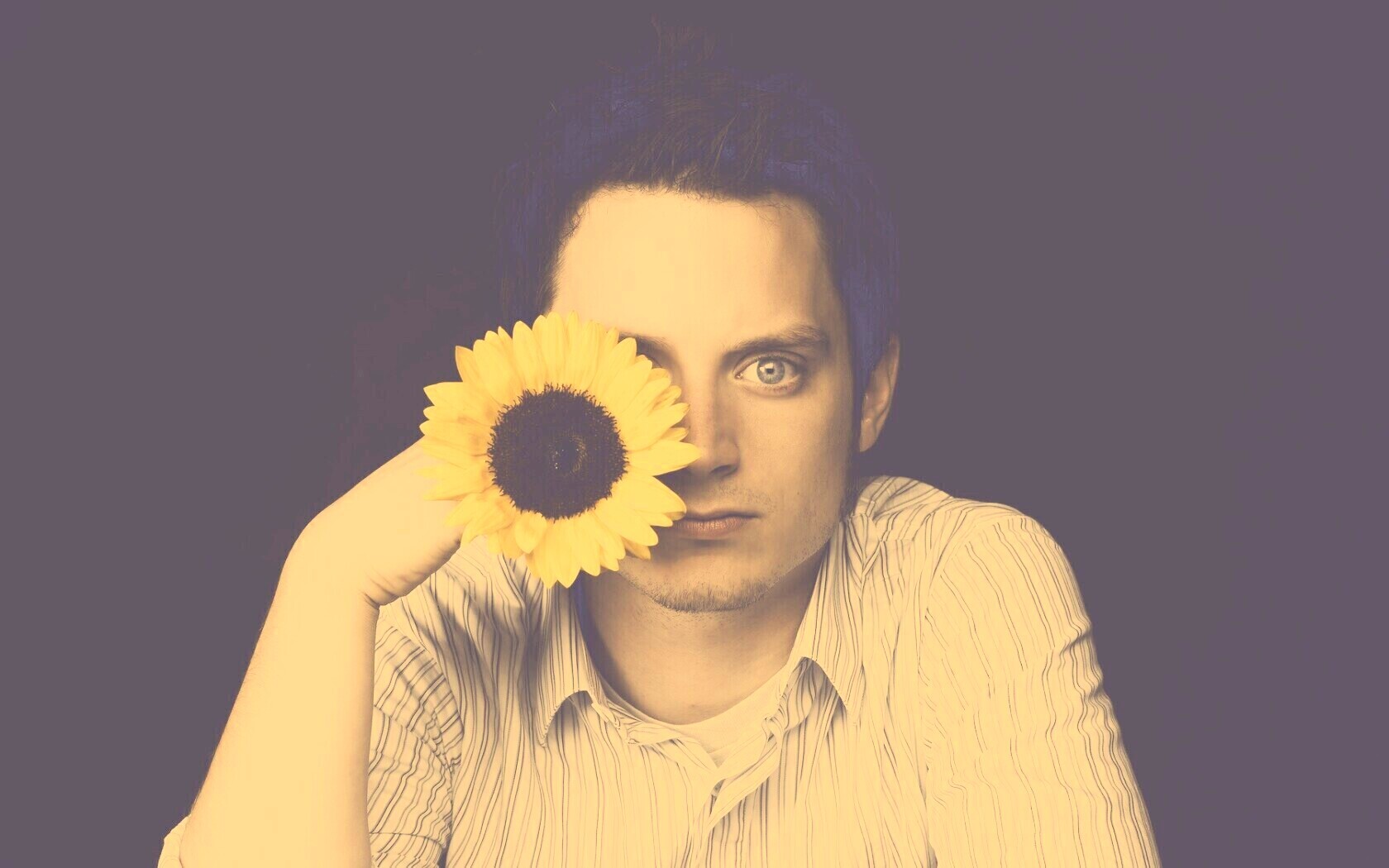 Элайджа Вуд обои