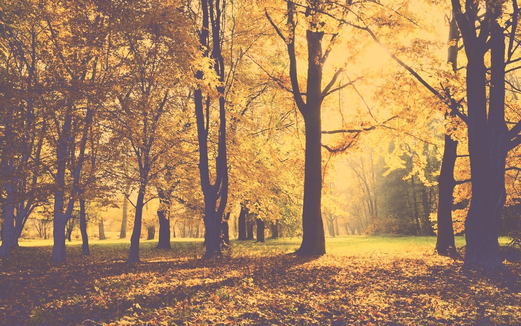 Осенний листопад в парке обои