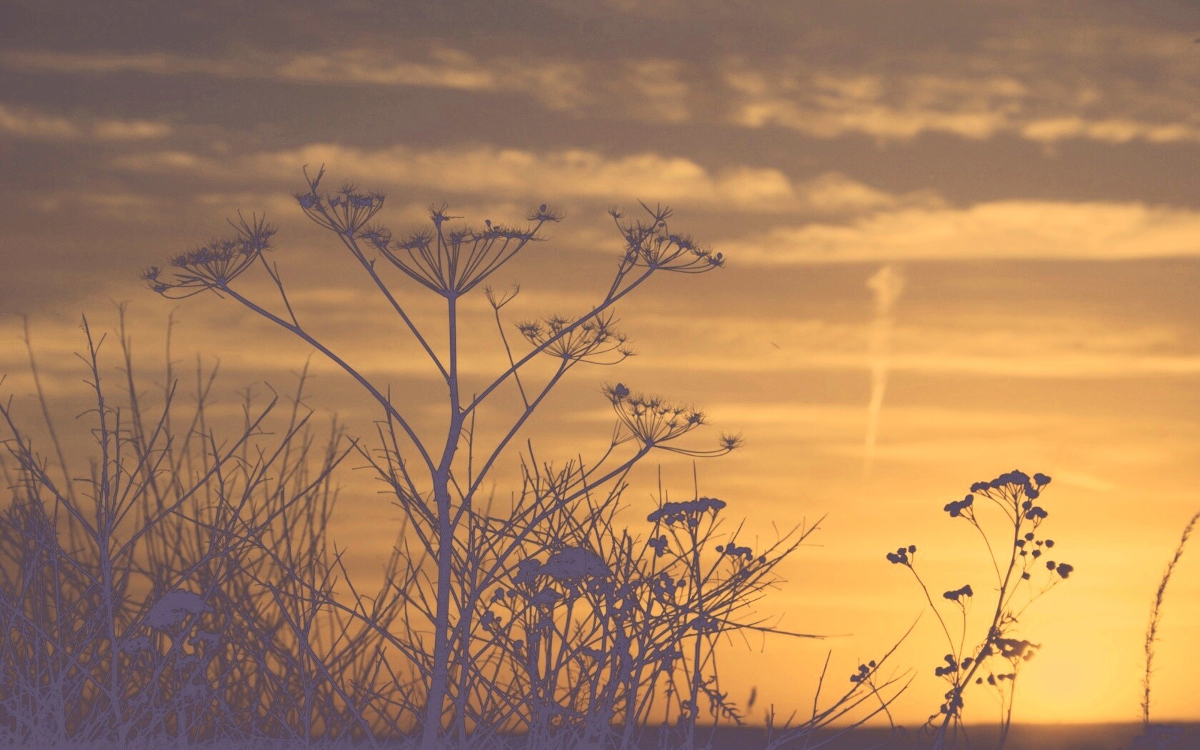 Степной закат обои