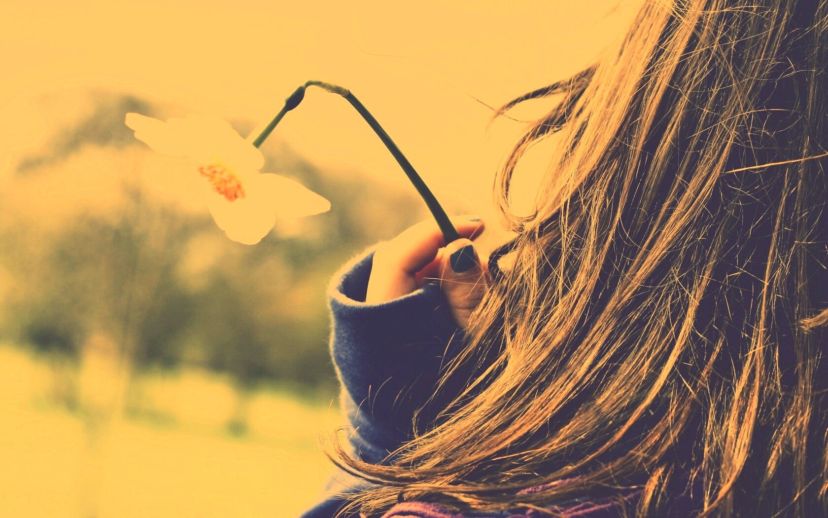 Девушка с нарциссом в руке обои