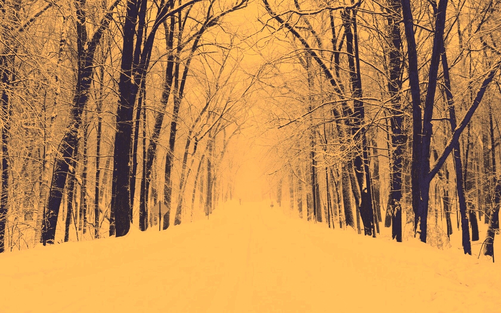 Дорога зимой в парке обои