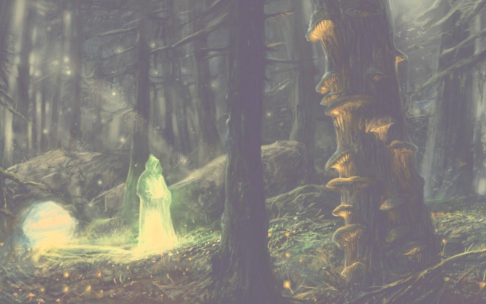 Маг света в лесу обои