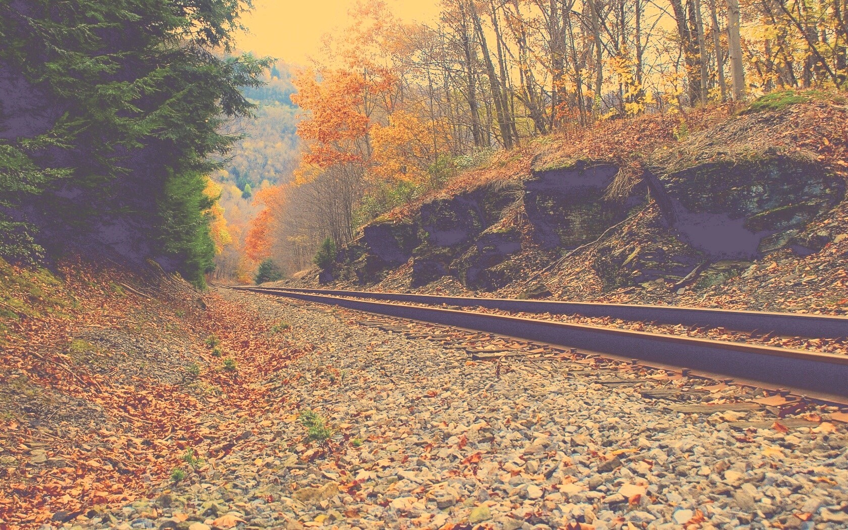 Железная дорога в скалистой местности обои