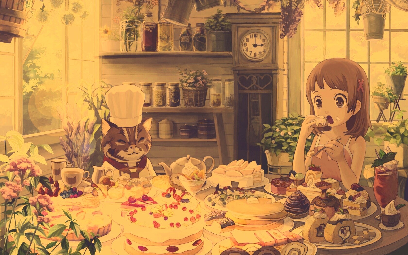 У кота повара обои