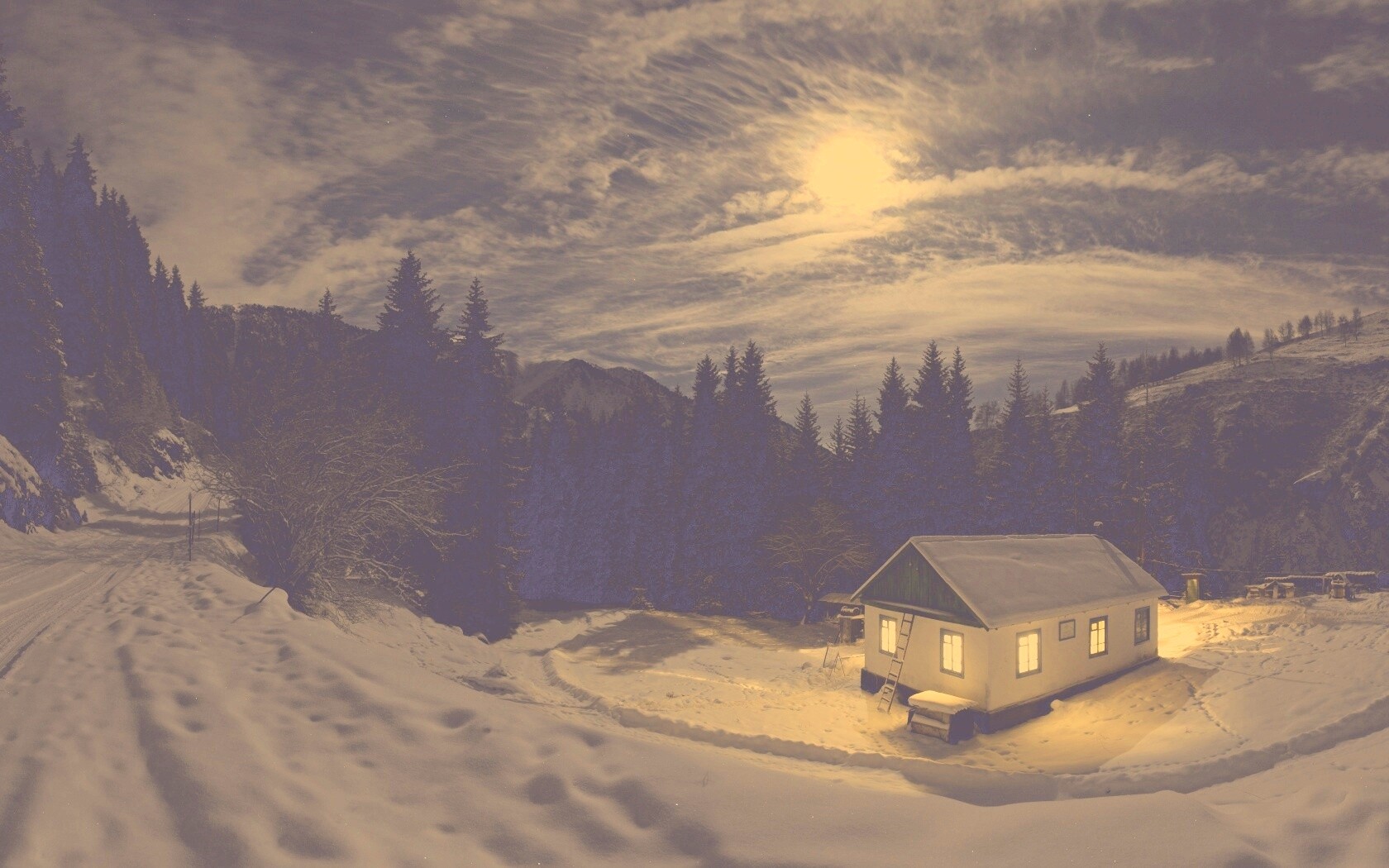 Один в зимнем лесу обои