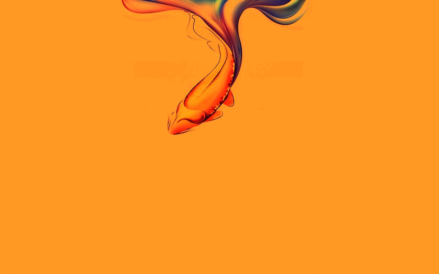 Золоая рыбка  обои