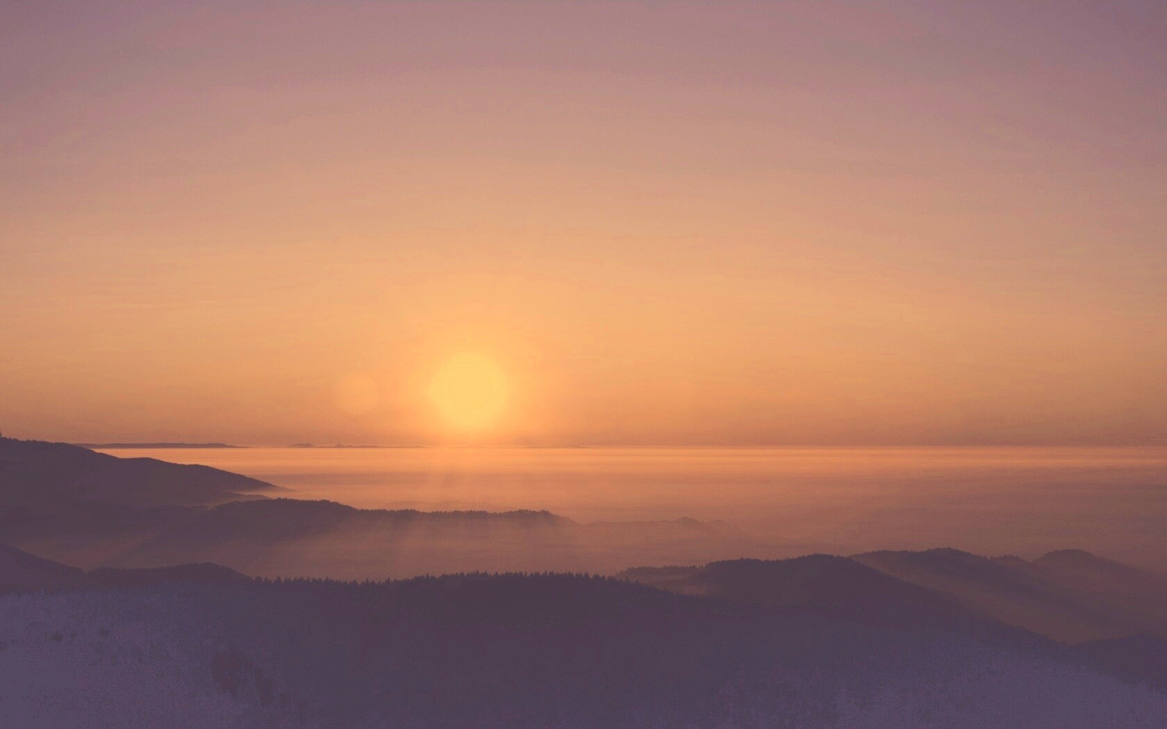 Восход солнца над лесом обои