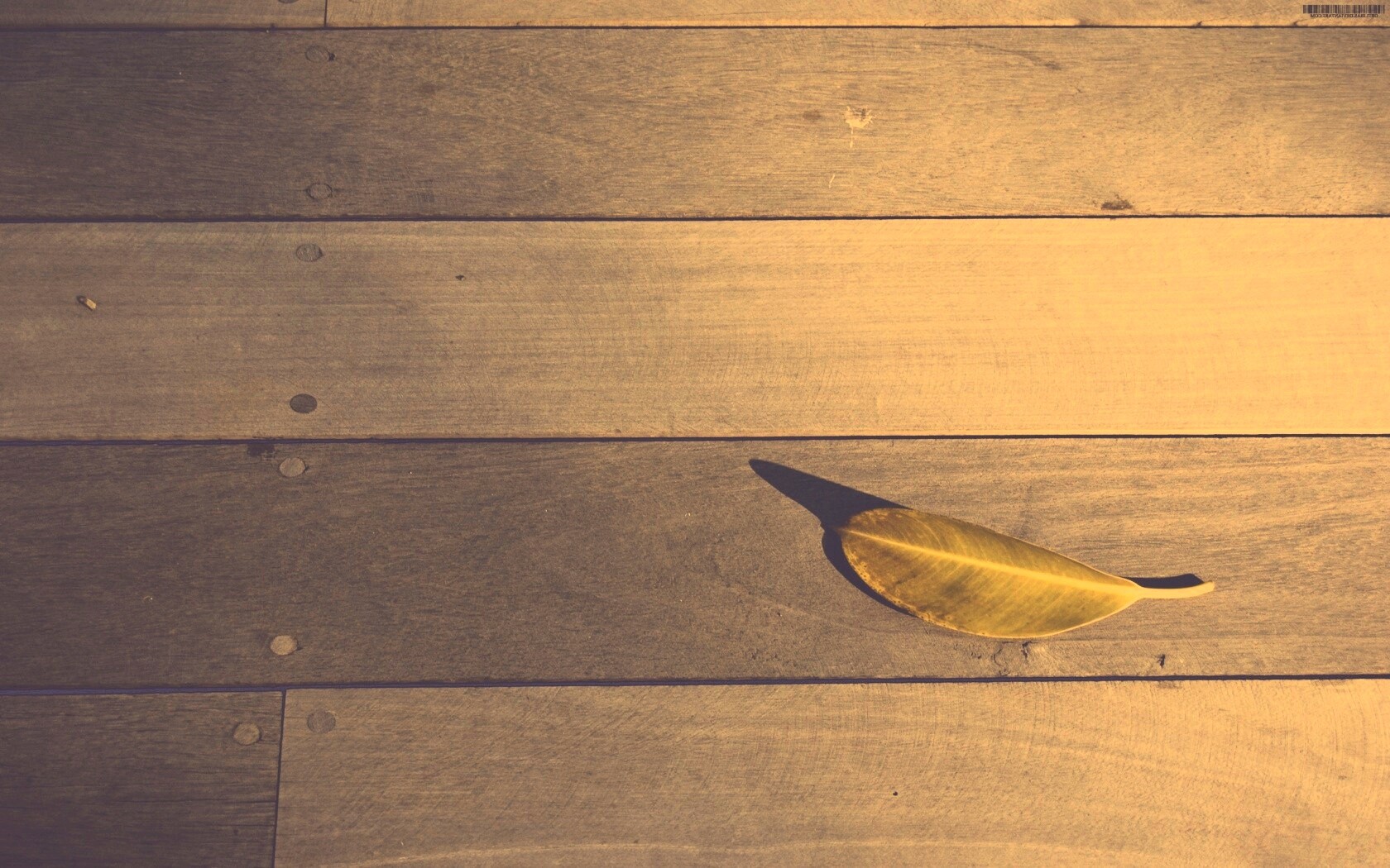 Лист на деревянном полу обои