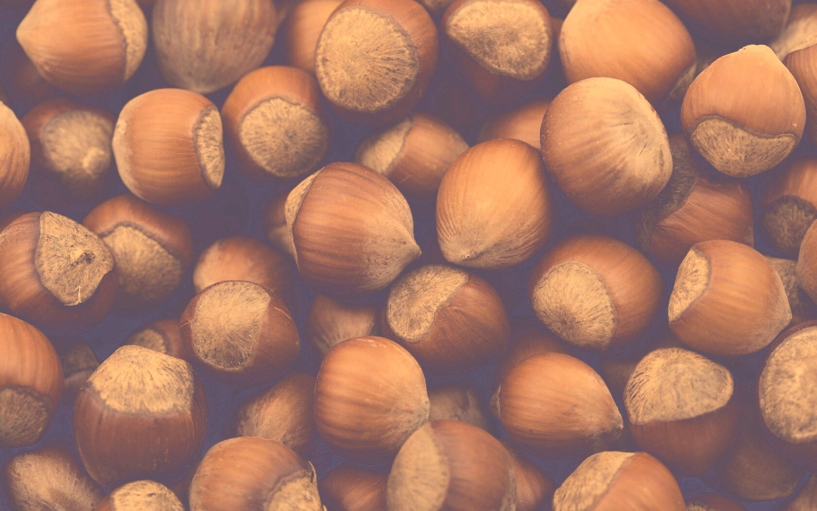 Фундук обои