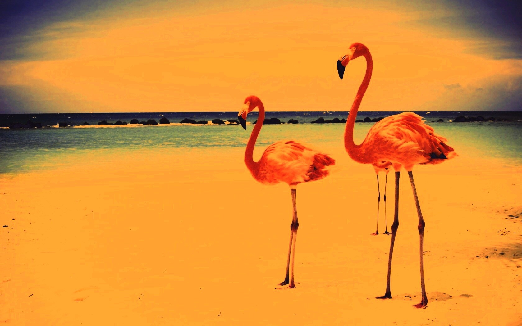 Розовые фламинго на пляже обои