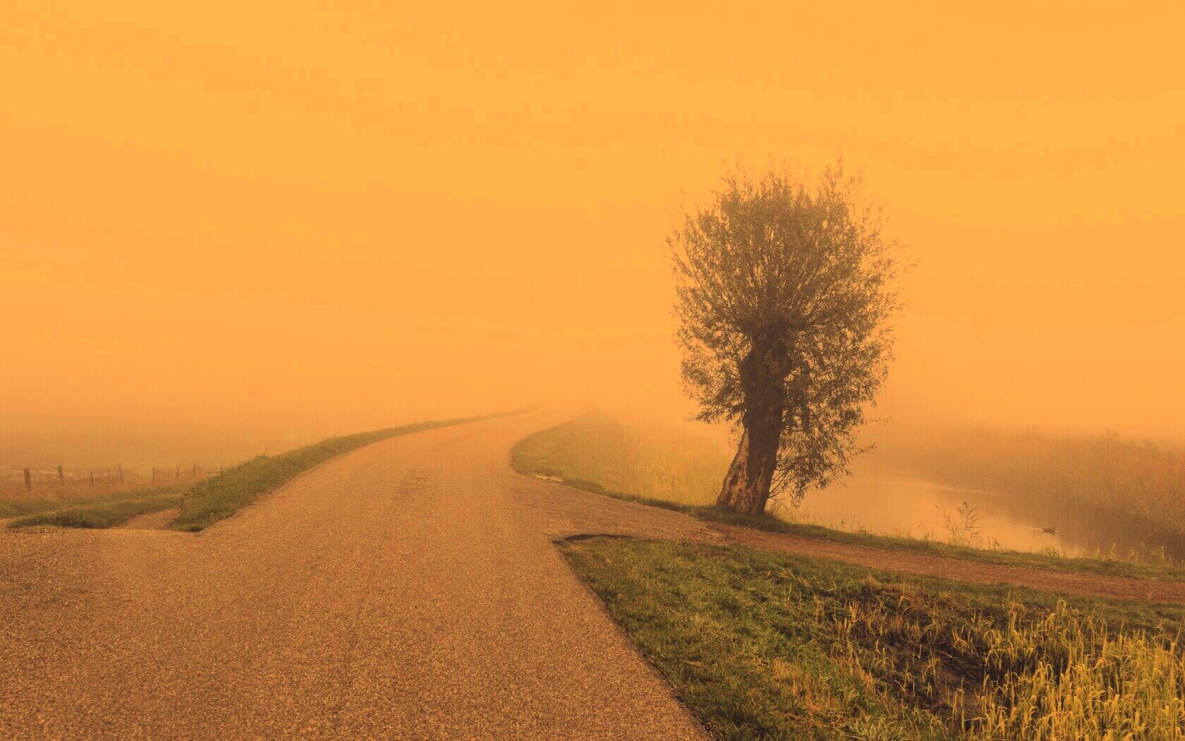 Дорога растворяется в тумане обои