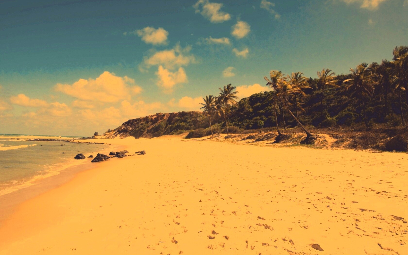 Туры в Бразилию в Лондрину обои