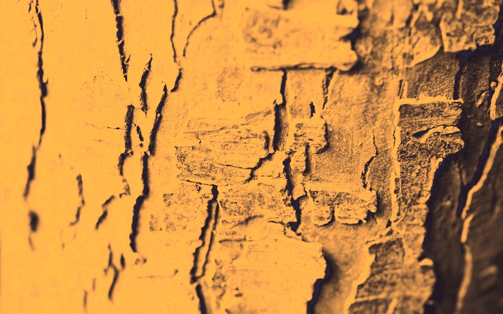 Белая кора обои