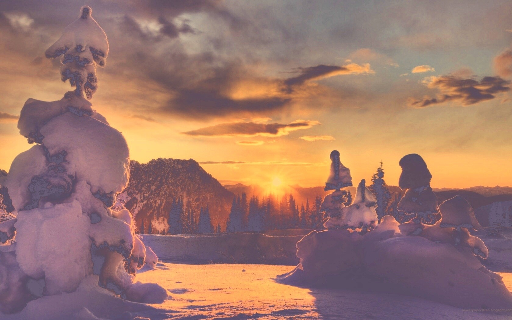 Зимнее солнце обои