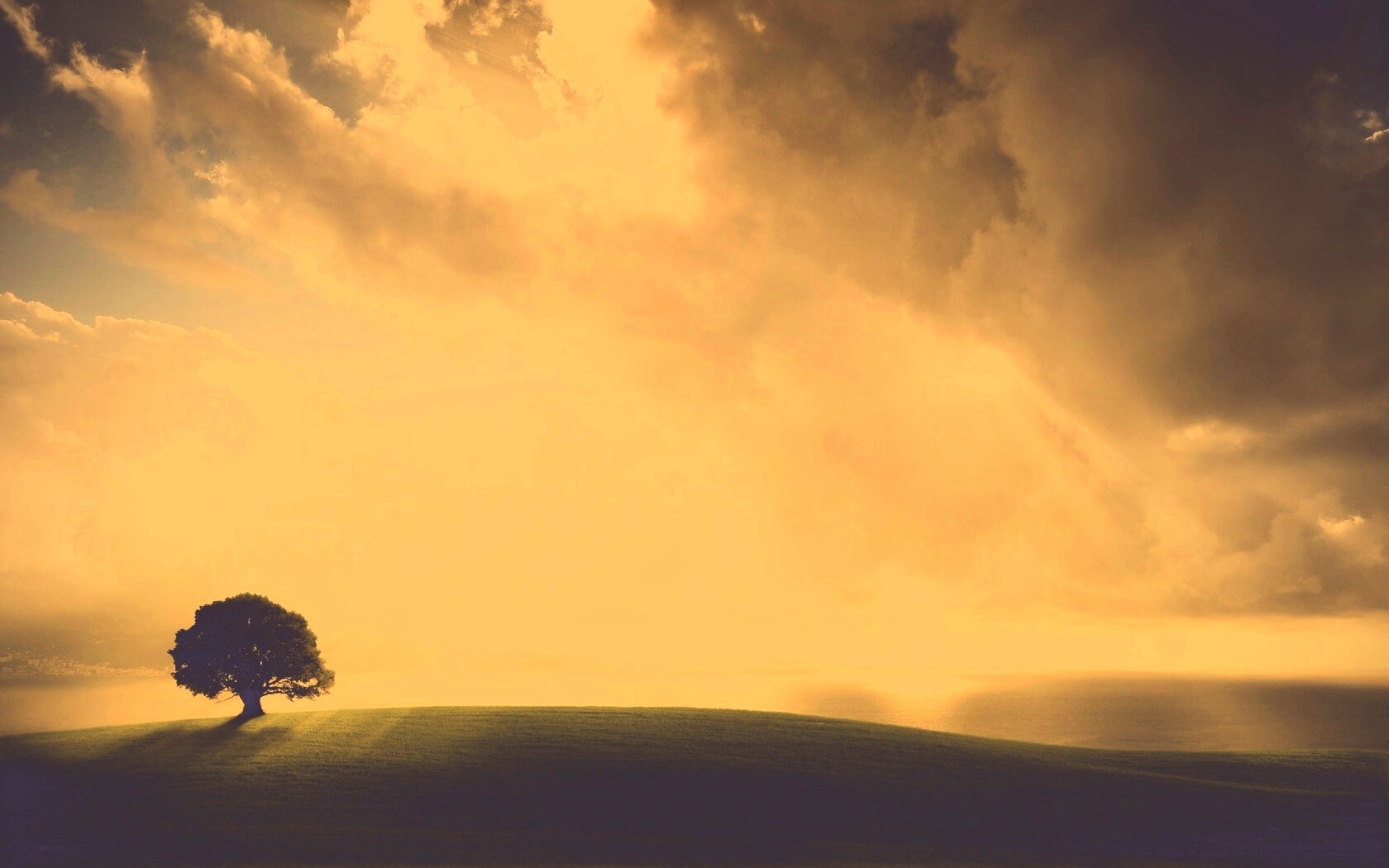 Холм и дерево обои
