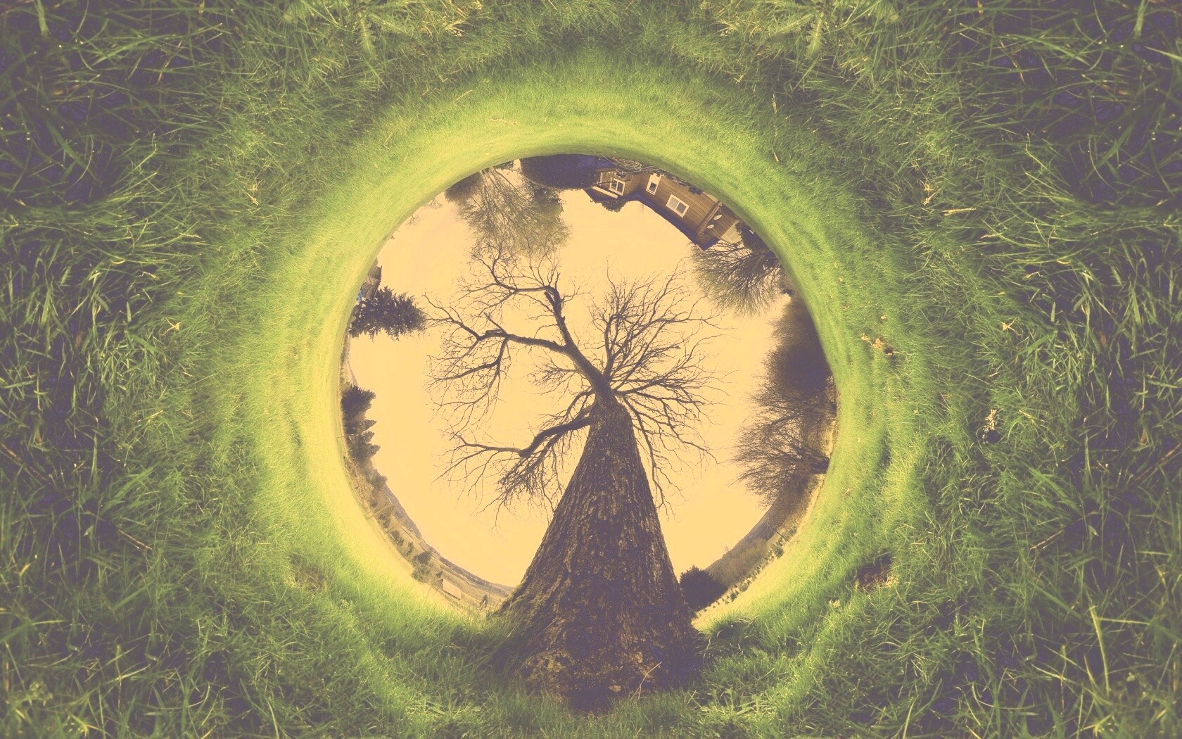 Другой взгляд на мир обои