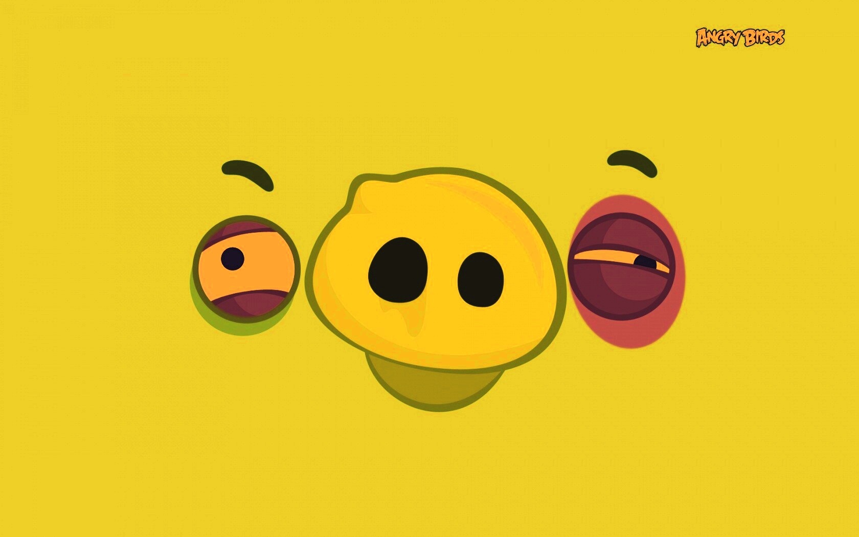 Свинья из Angry Birds обои