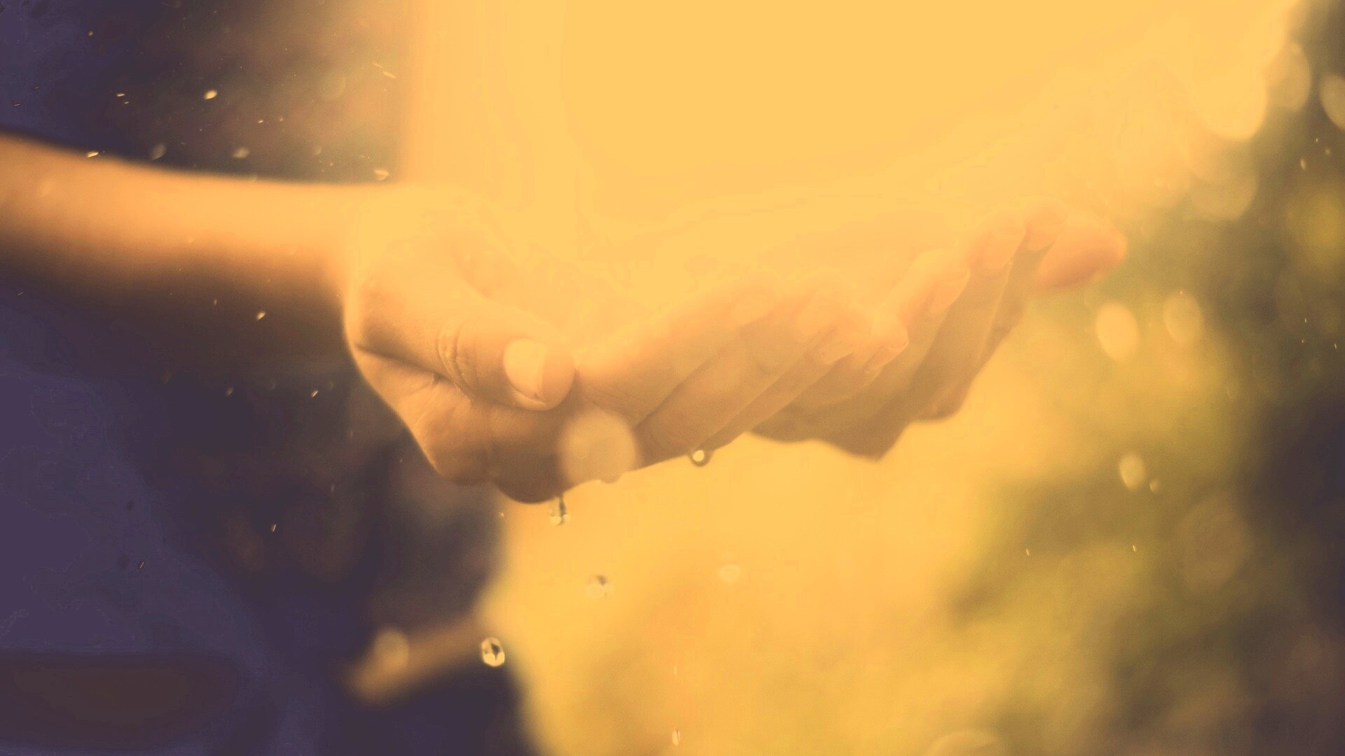 Дождь в ладонях обои