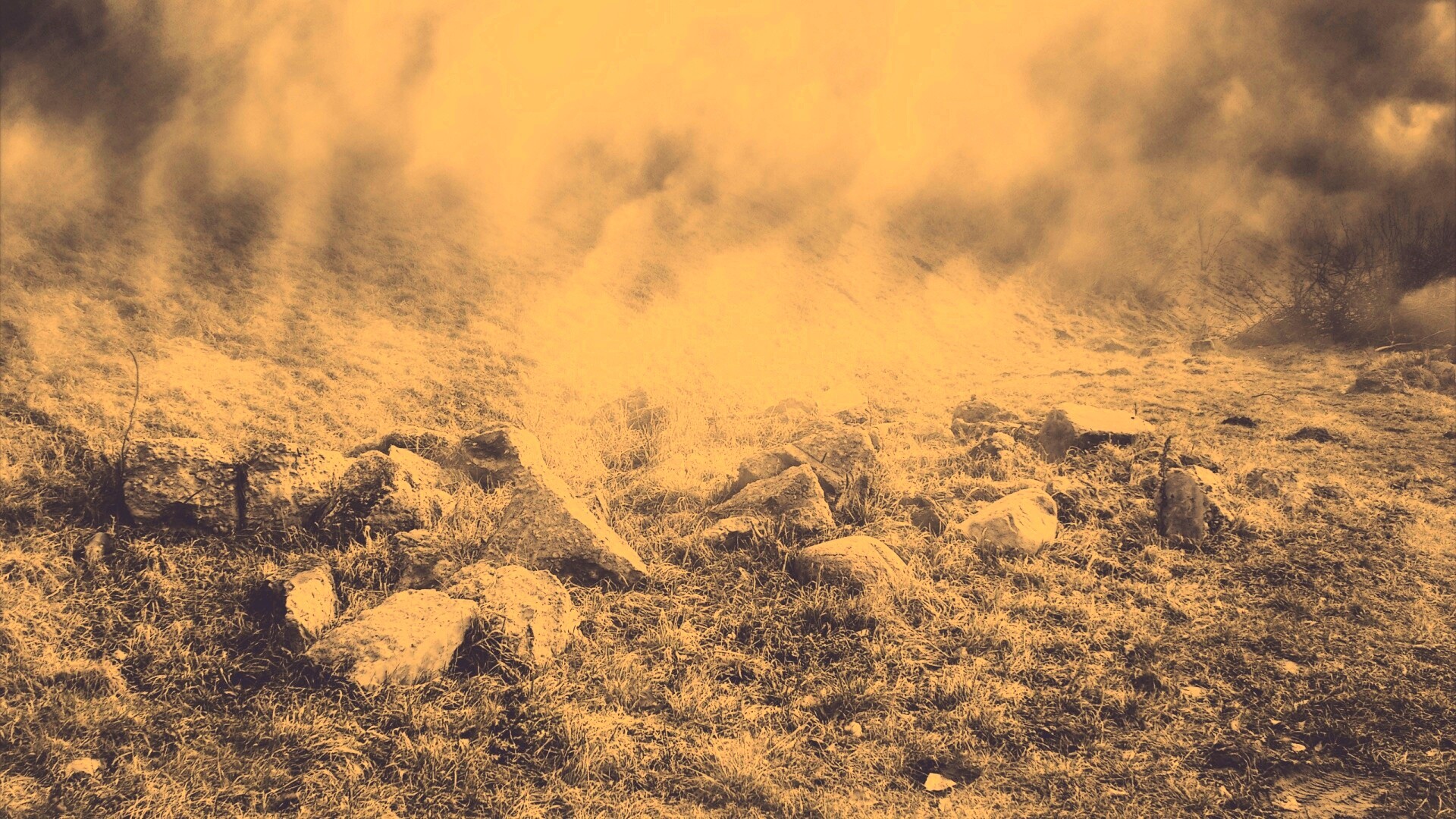 Туман на склоне обои