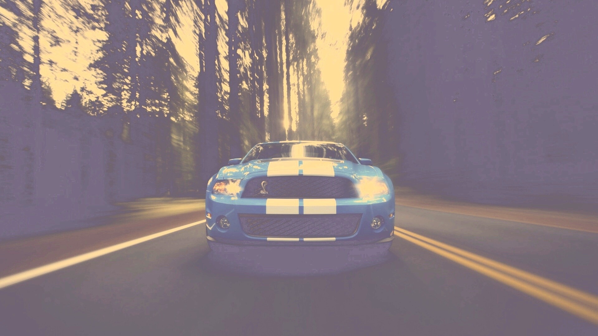 Форд Шелби обои