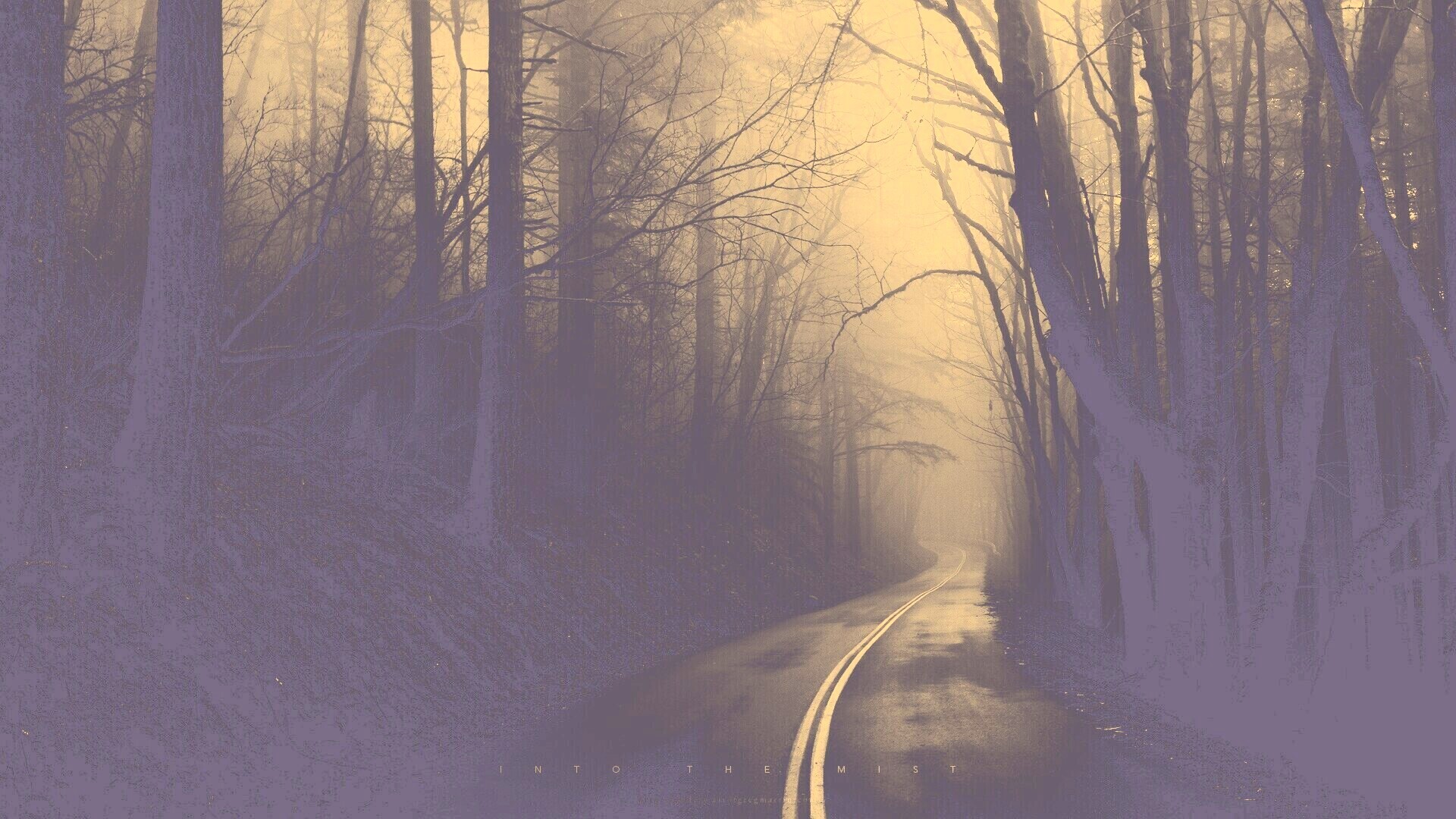 В туман обои