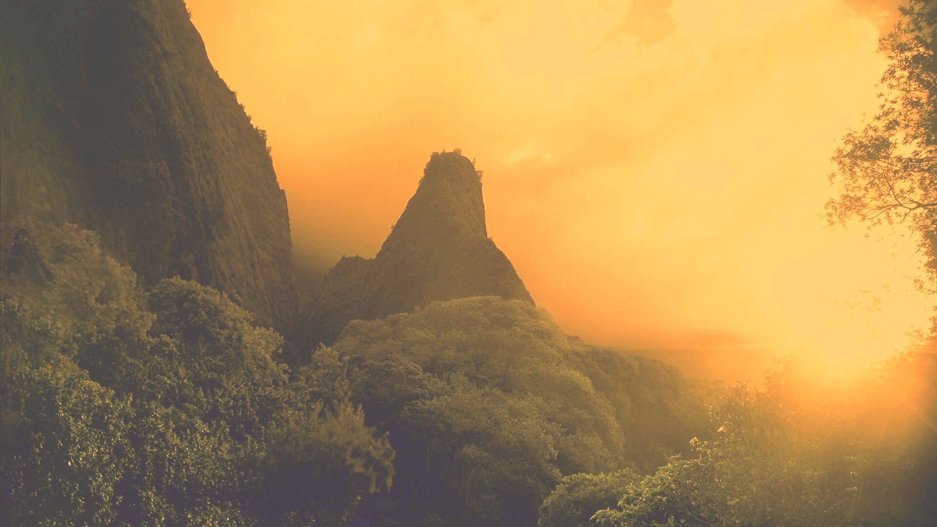 Заросшие джунглями горы обои