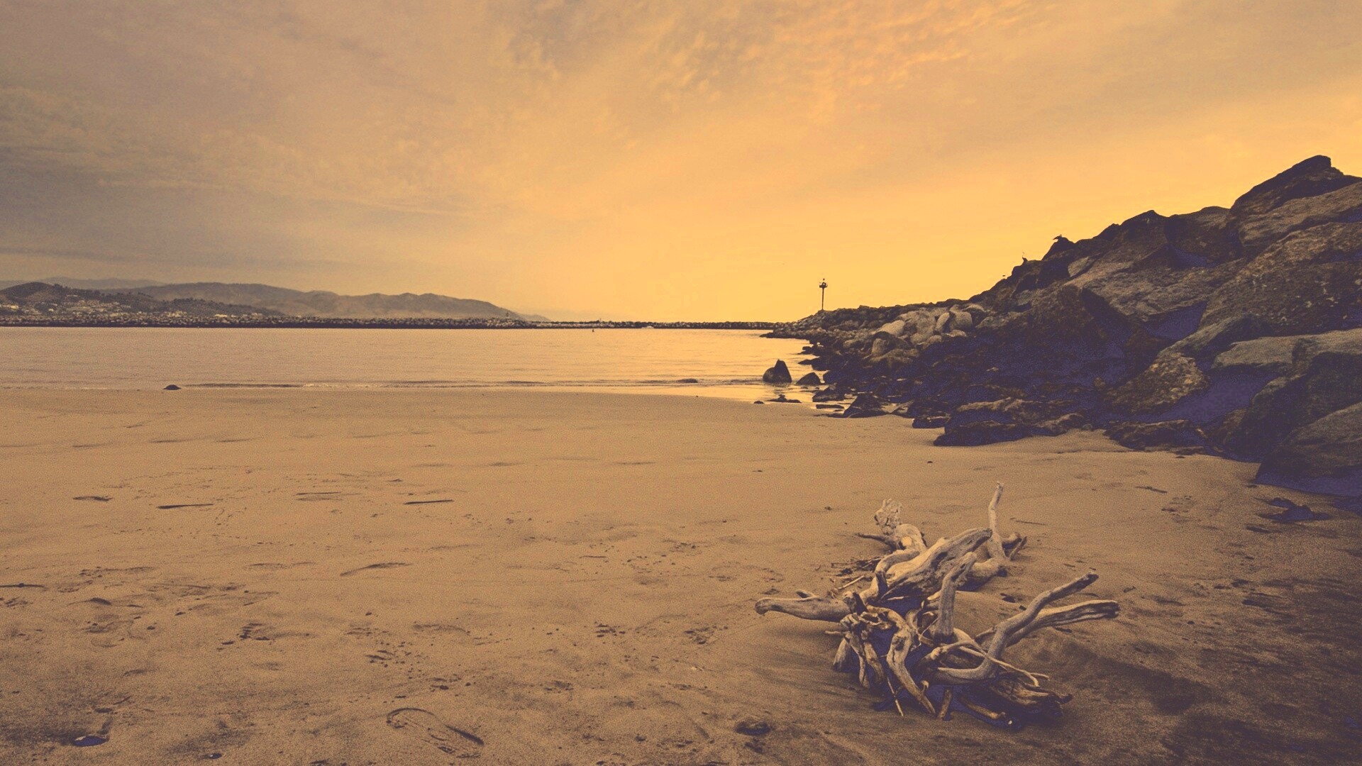 Коряга не берегу обои