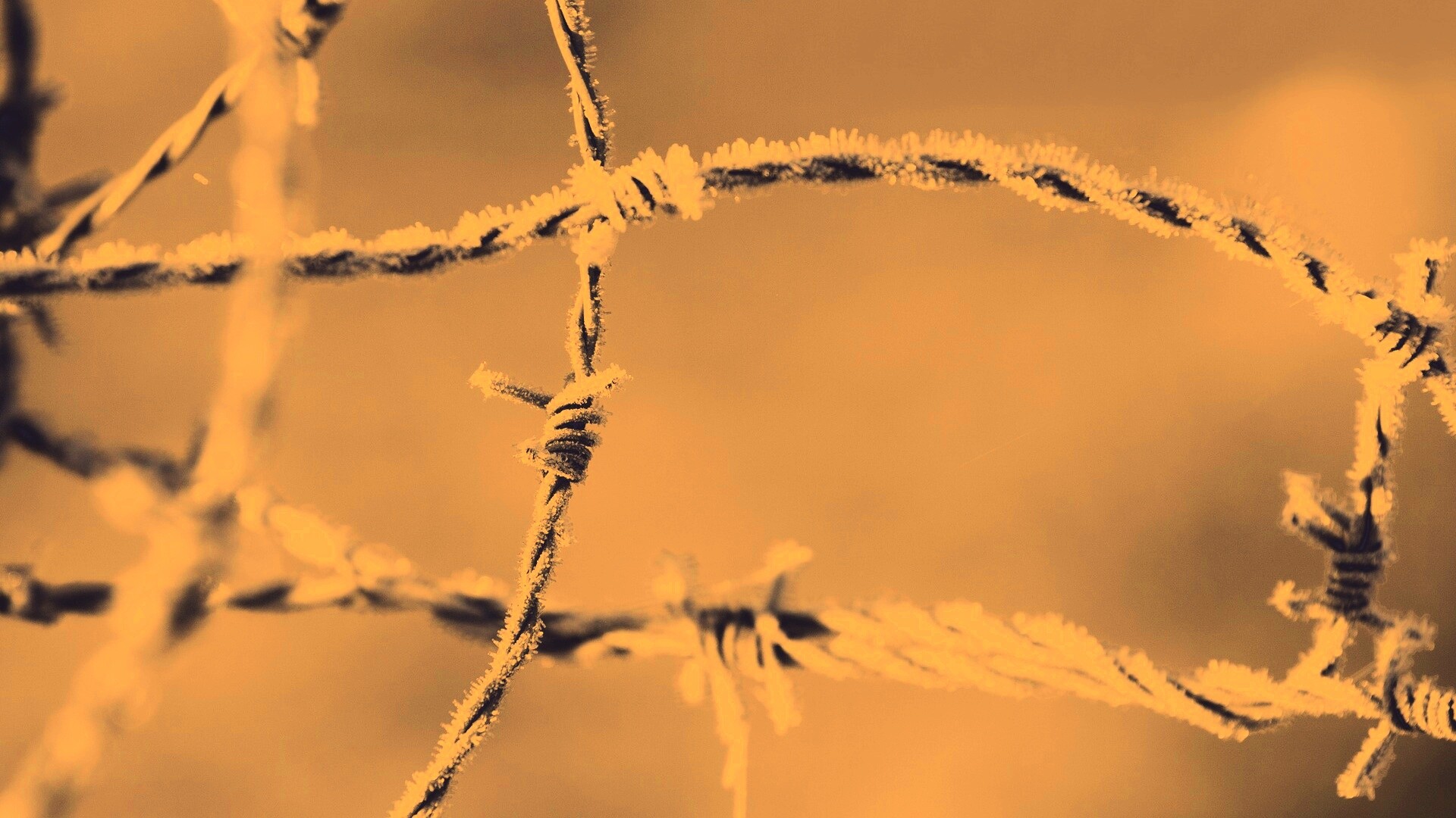 Замерзшая колючая проволока обои